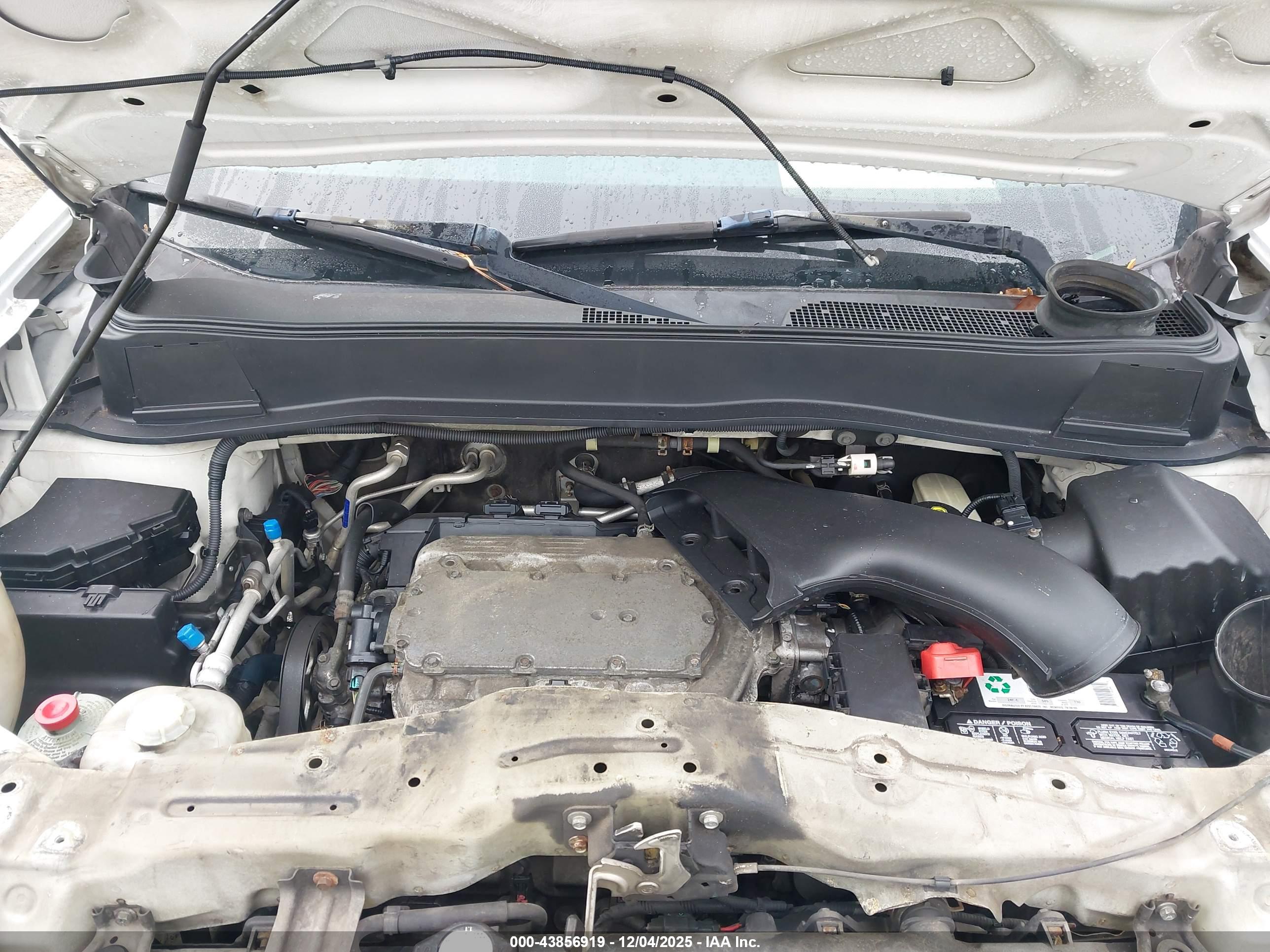 HONDA PILOT image 10