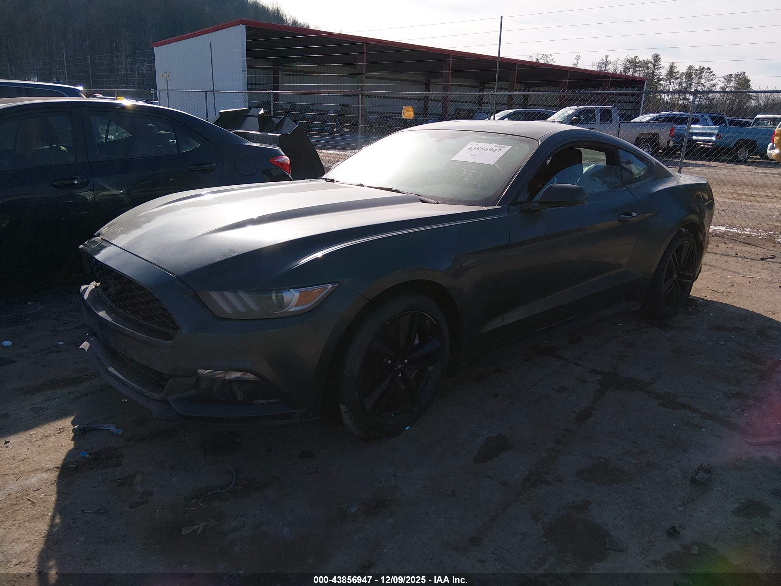 FORD MUSTANG image 2