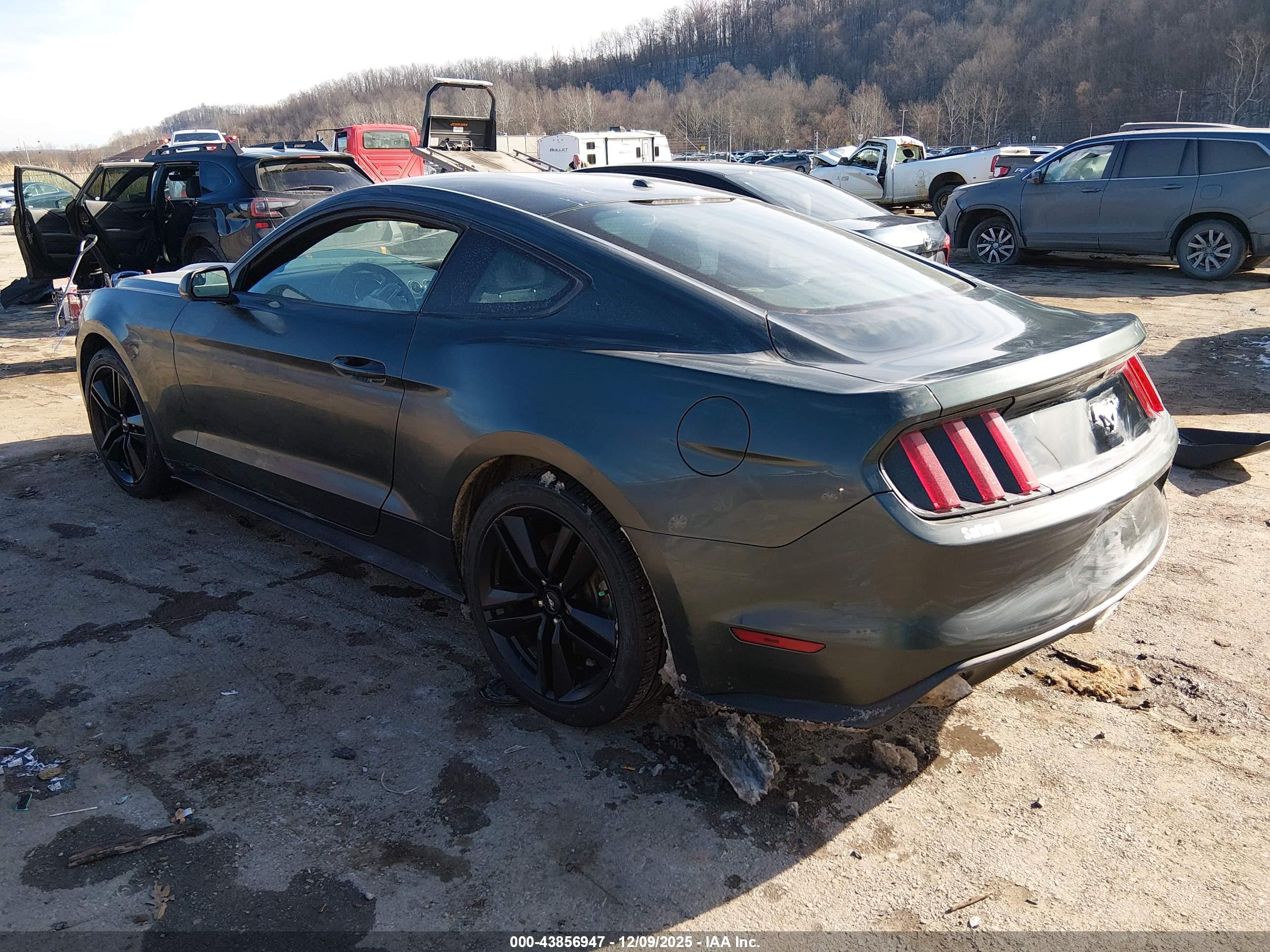 FORD MUSTANG image 3