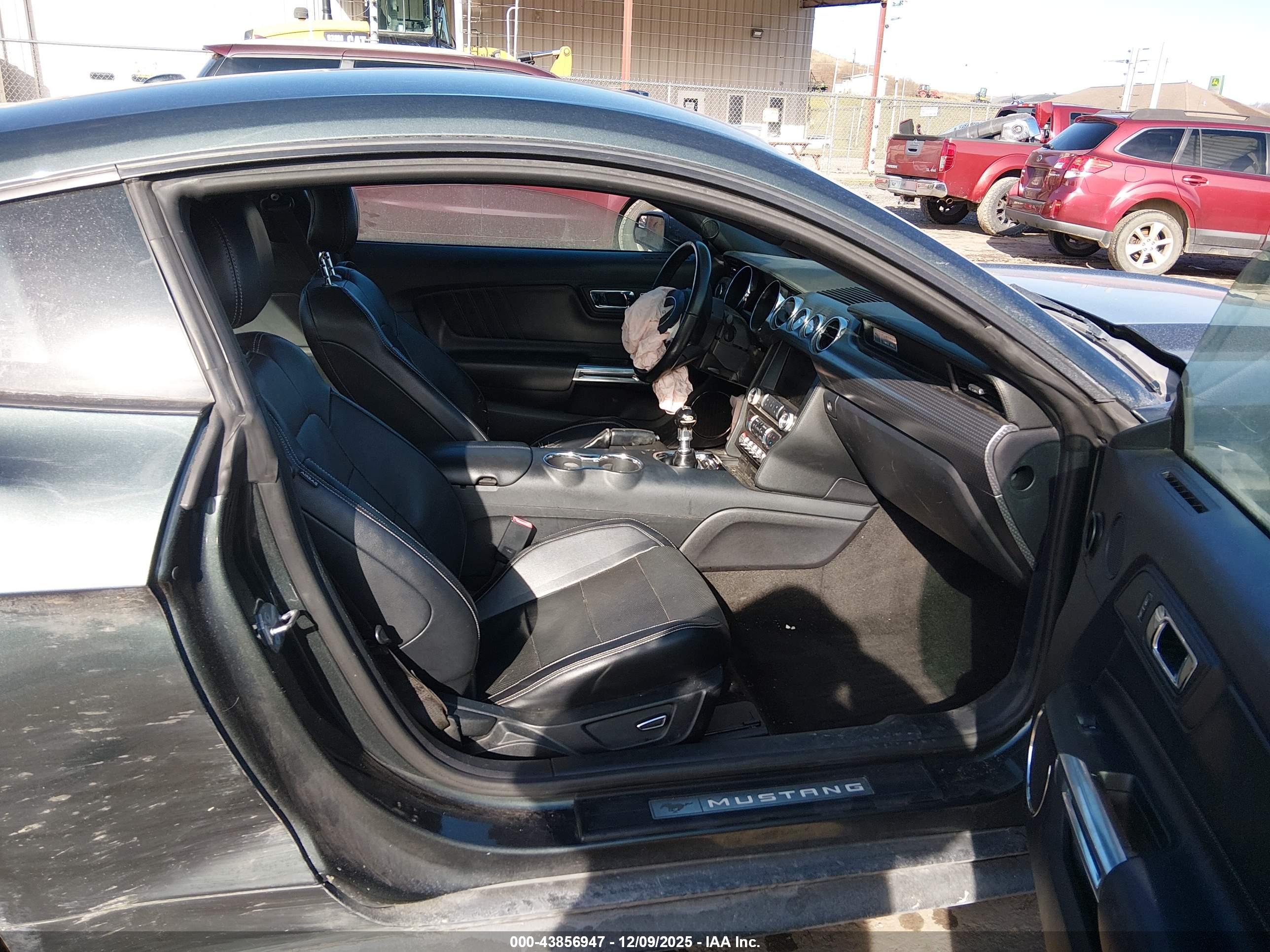 FORD MUSTANG image 5