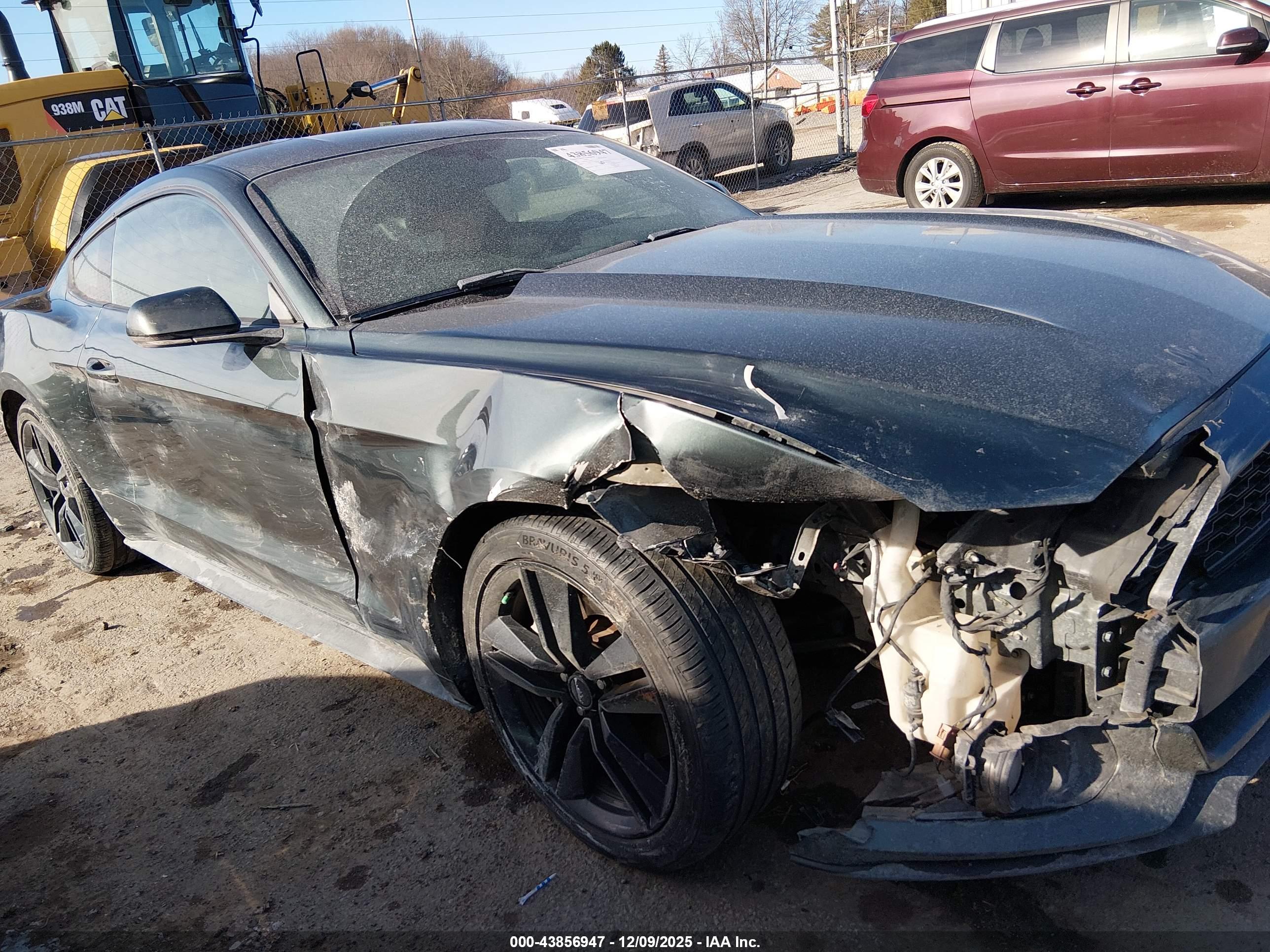 FORD MUSTANG image 6