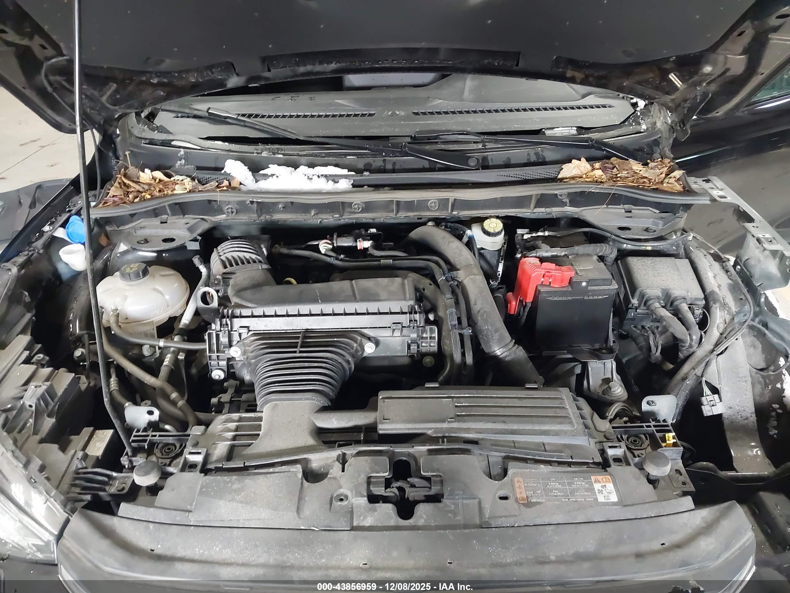 FORD ESCAPE image 10