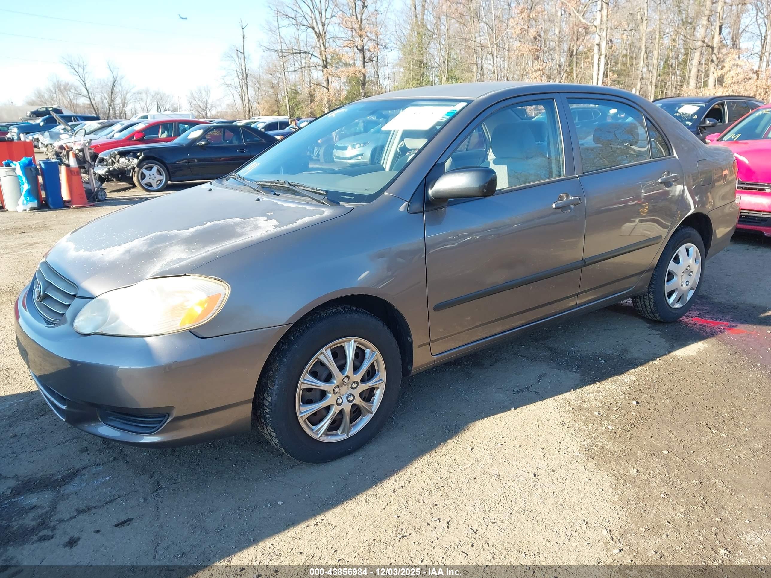 TOYOTA COROLLA image 2