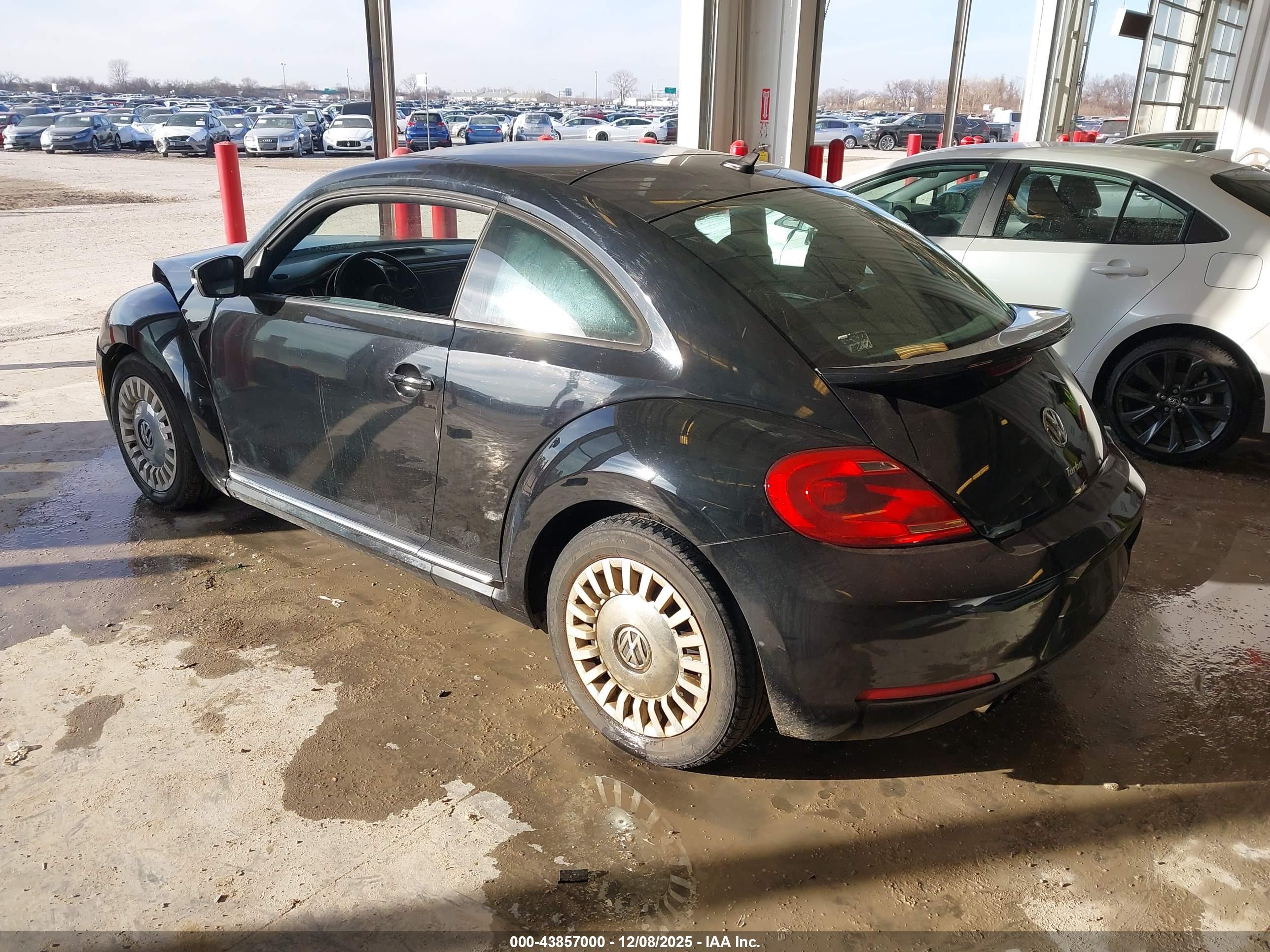 VOLKSWAGEN BEETLE image 3