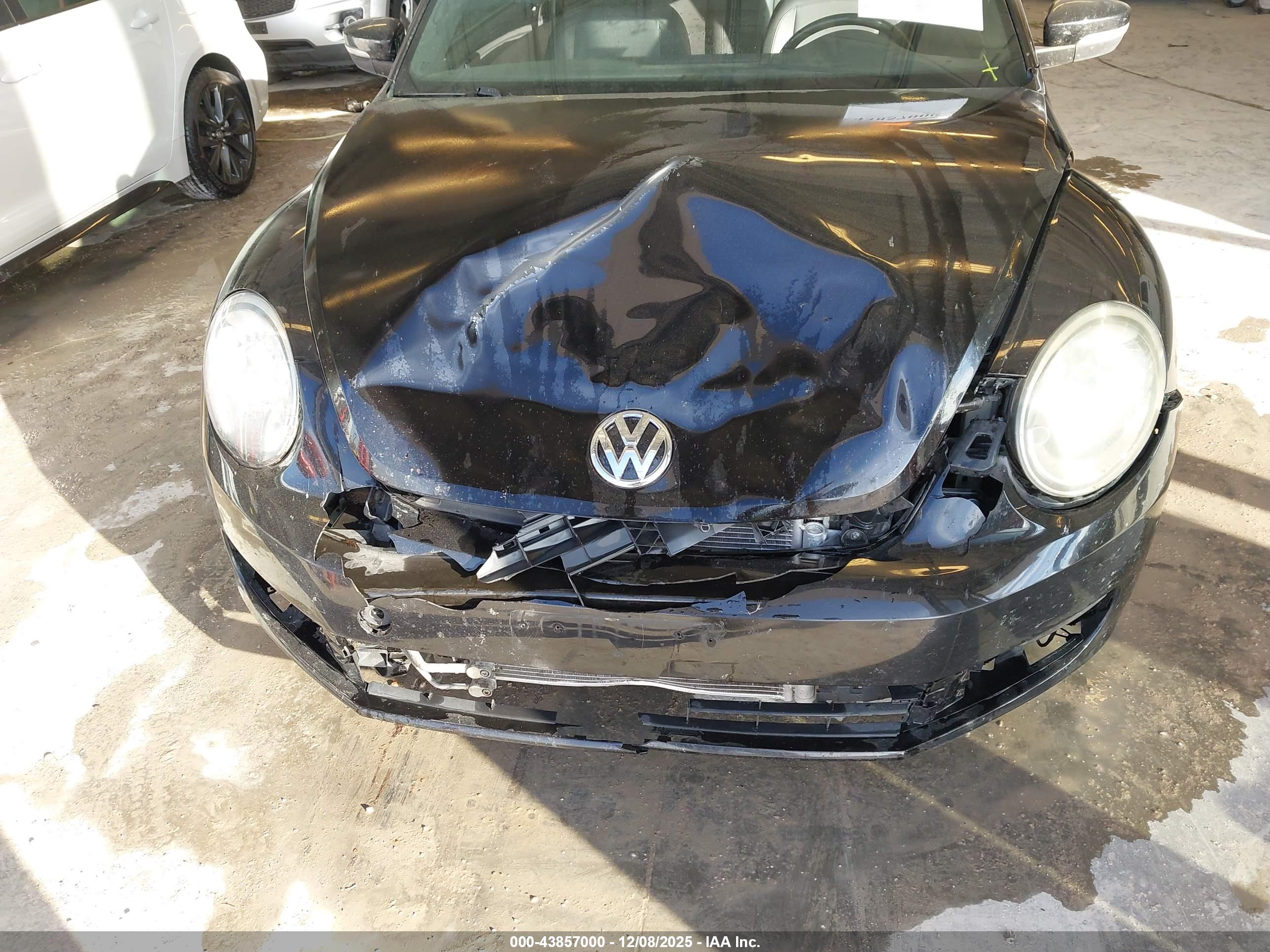 VOLKSWAGEN BEETLE image 6