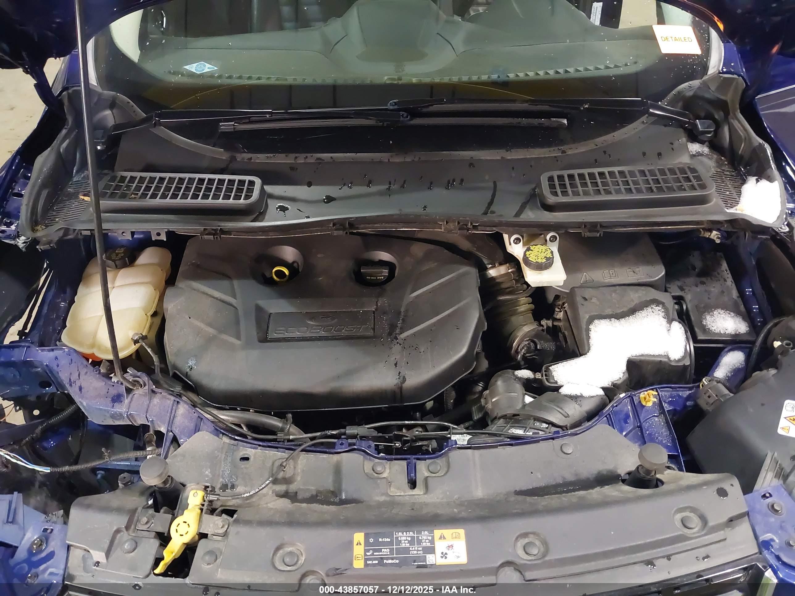 FORD ESCAPE image 10