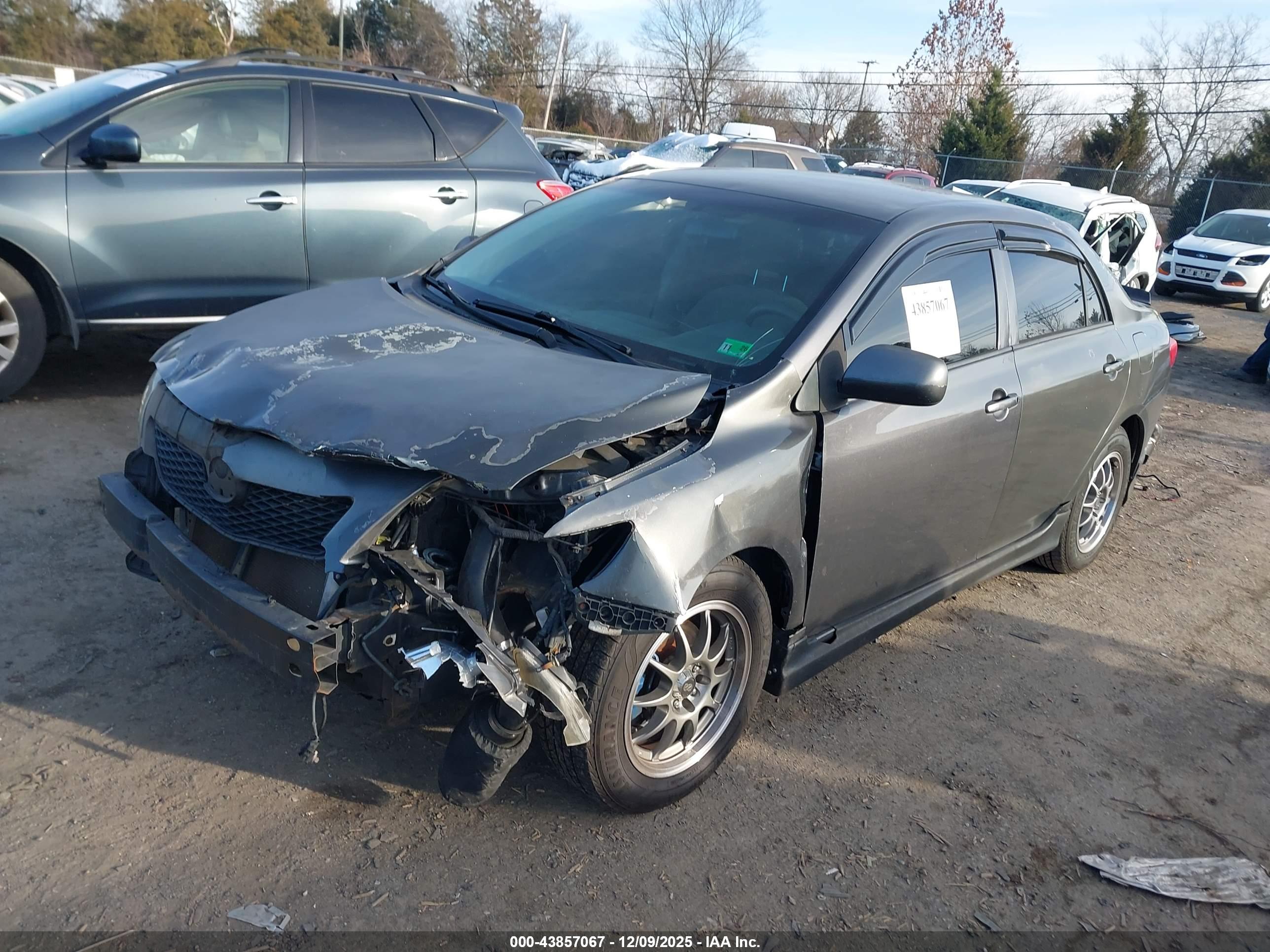 TOYOTA COROLLA image 2