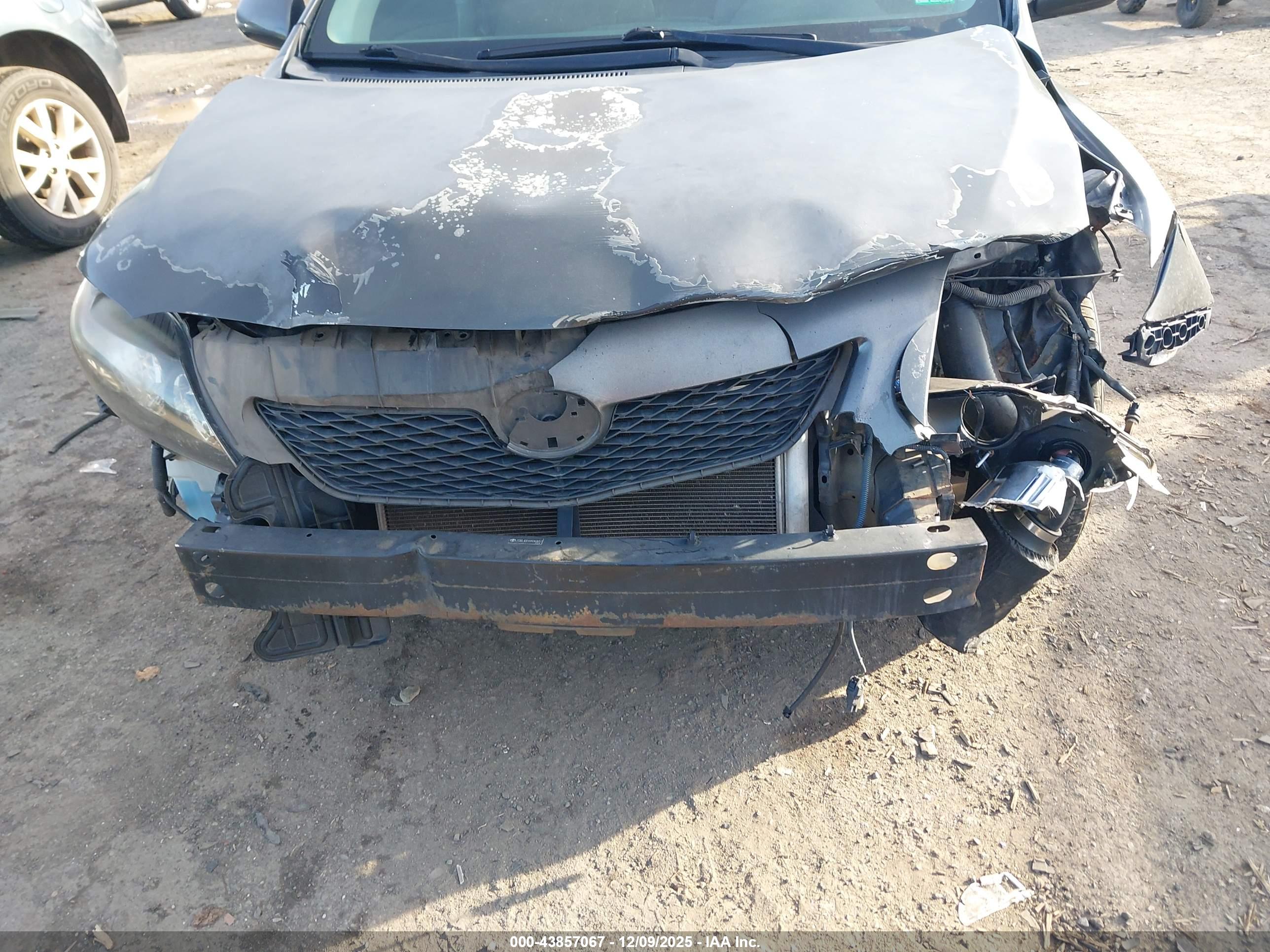 TOYOTA COROLLA image 6