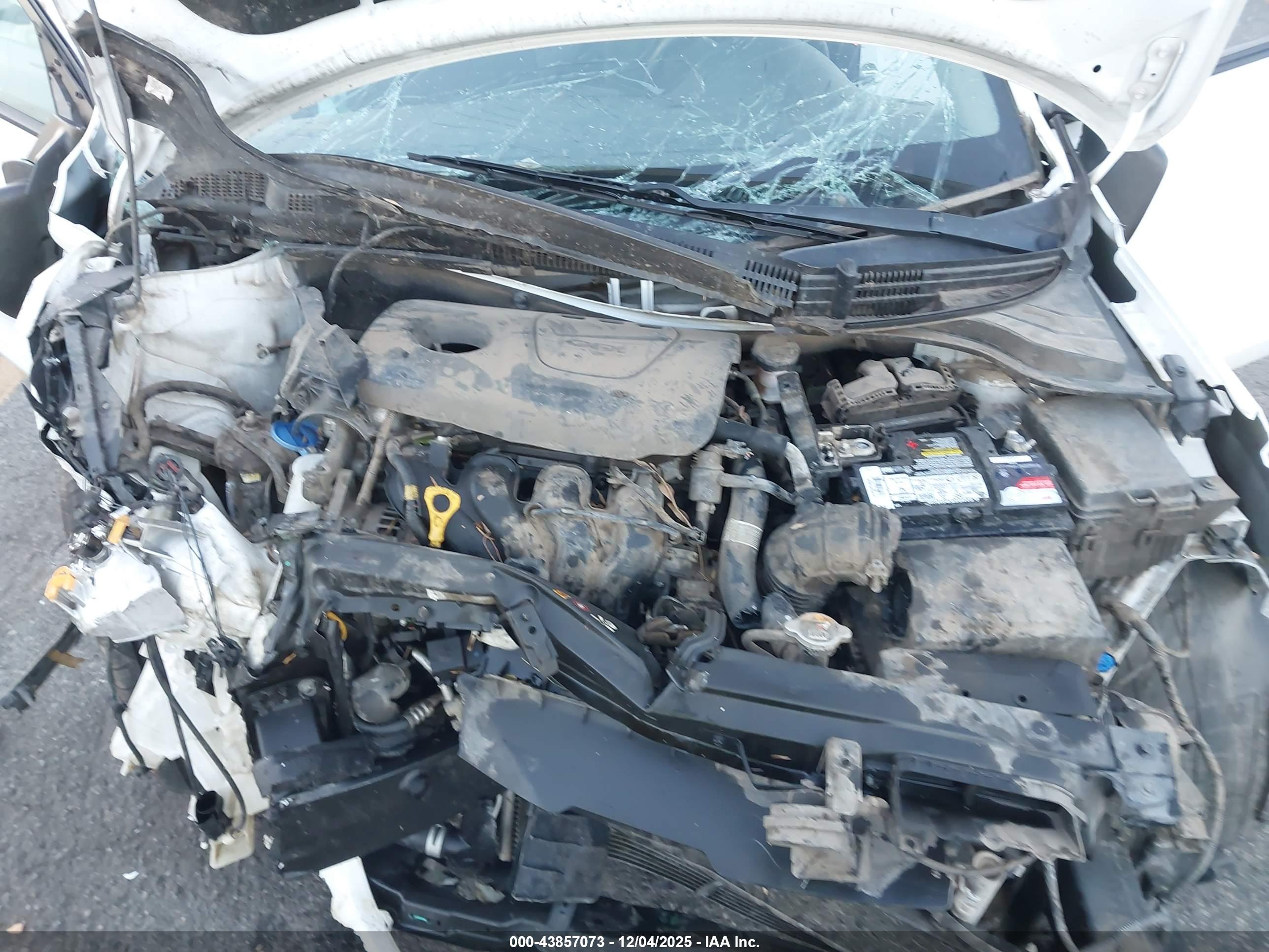 KIA RIO image 10