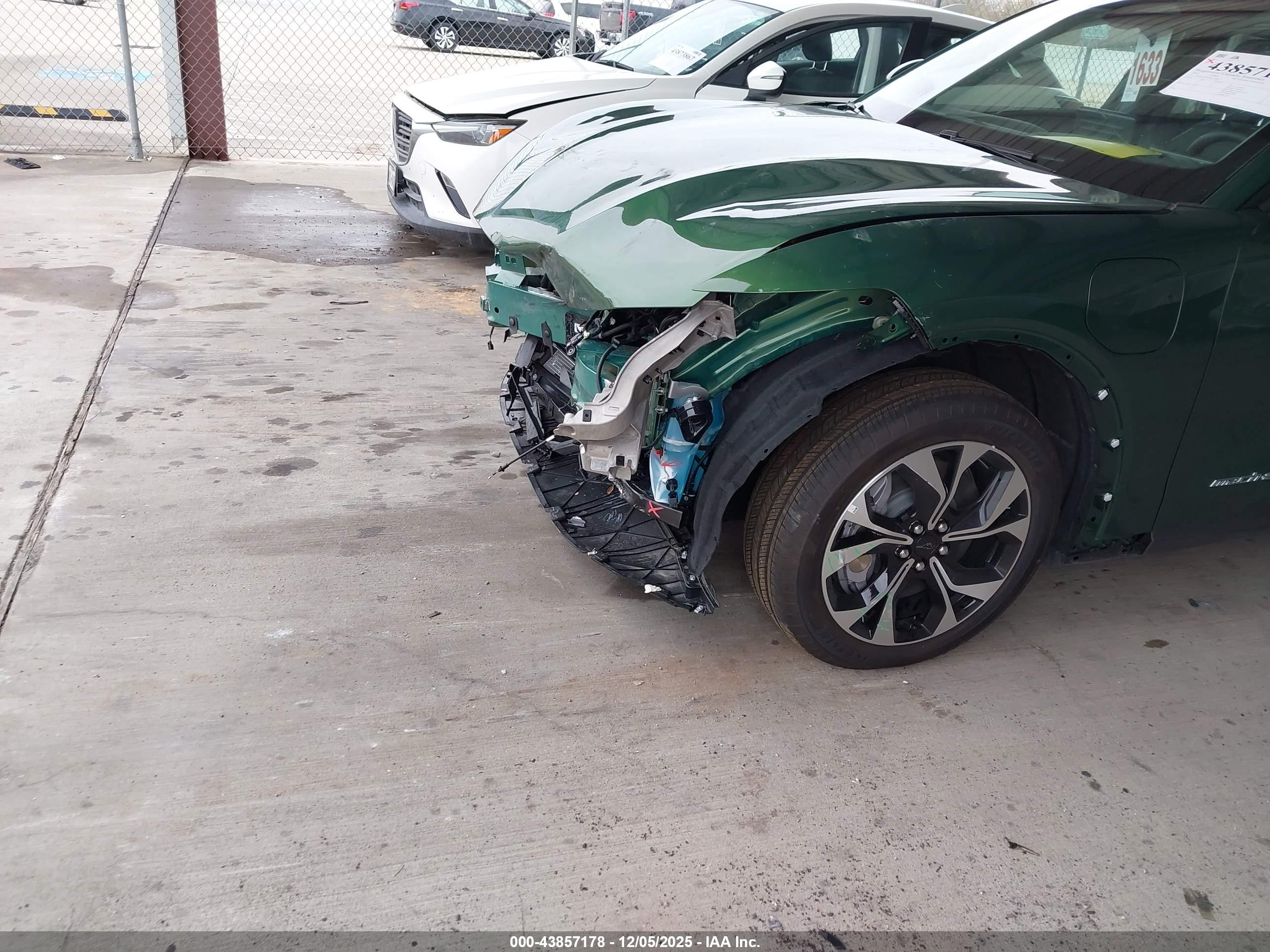 FORD MUSTANG image 6