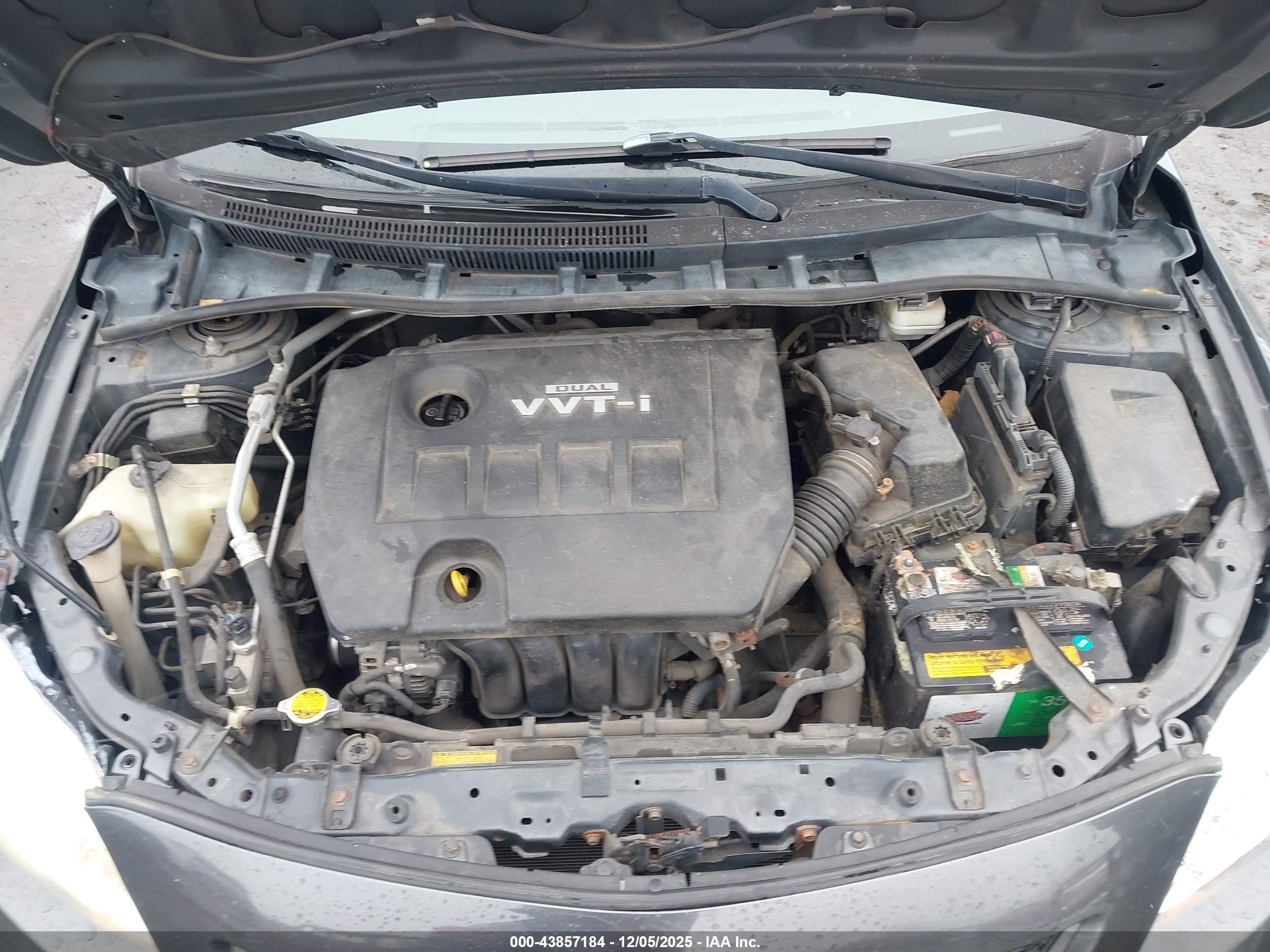 TOYOTA COROLLA image 10