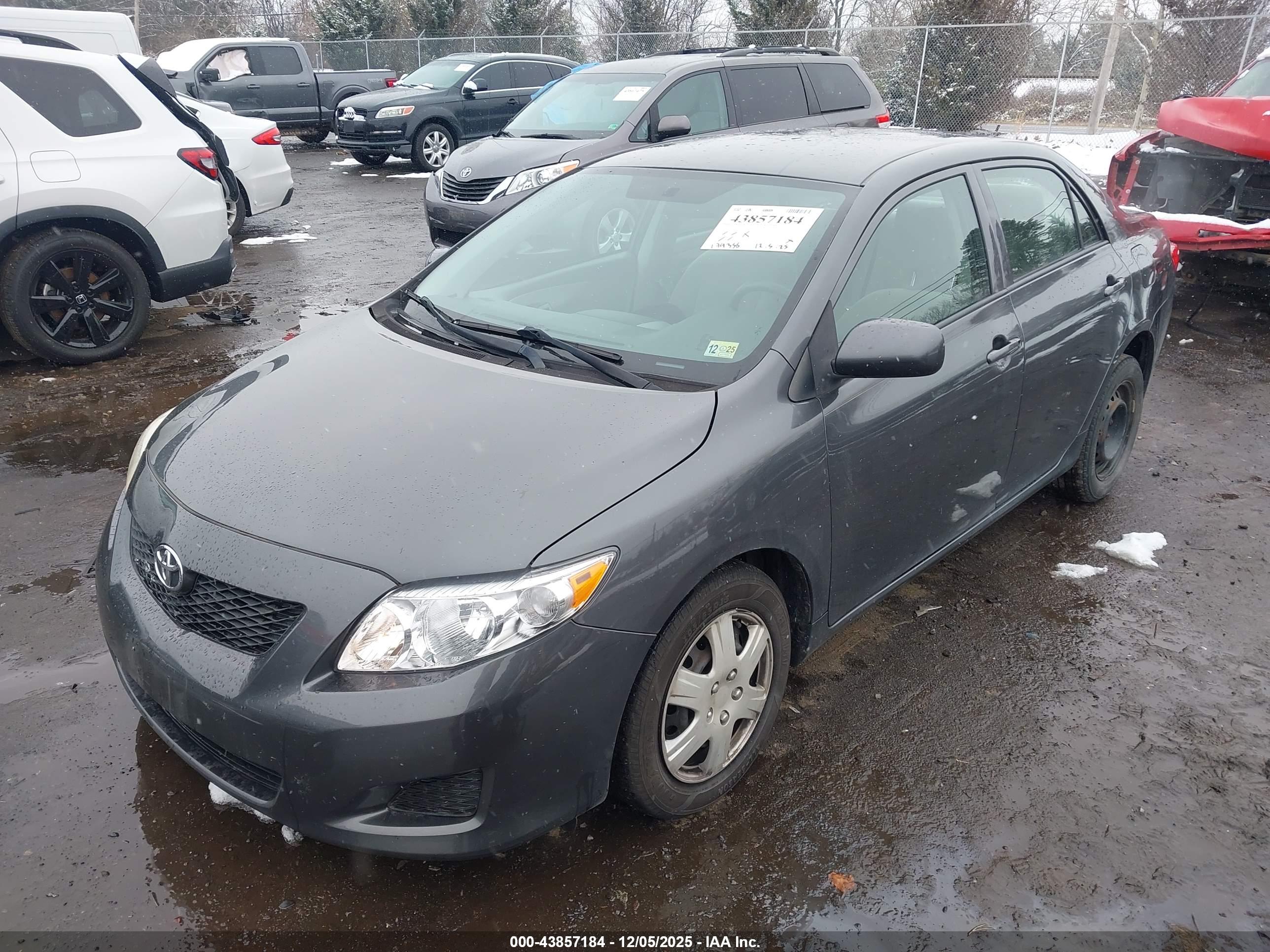 TOYOTA COROLLA image 2