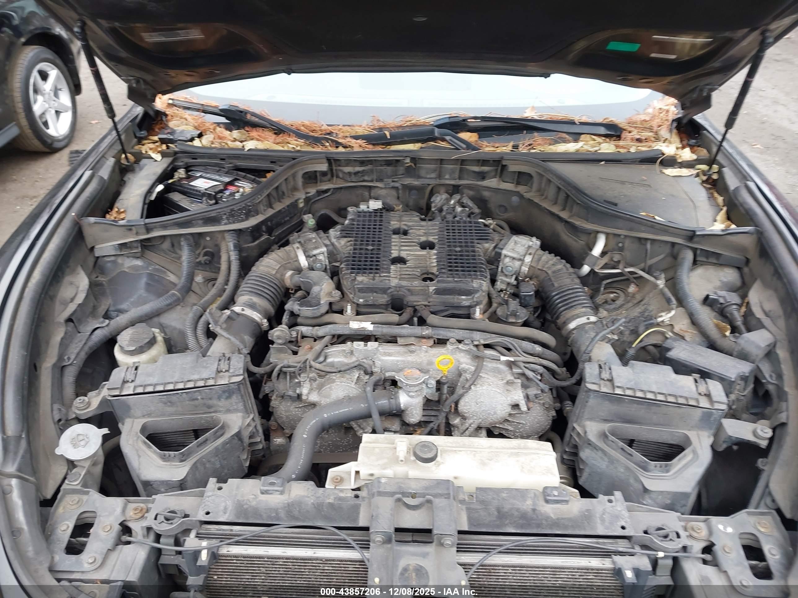 INFINITI M37X image 10