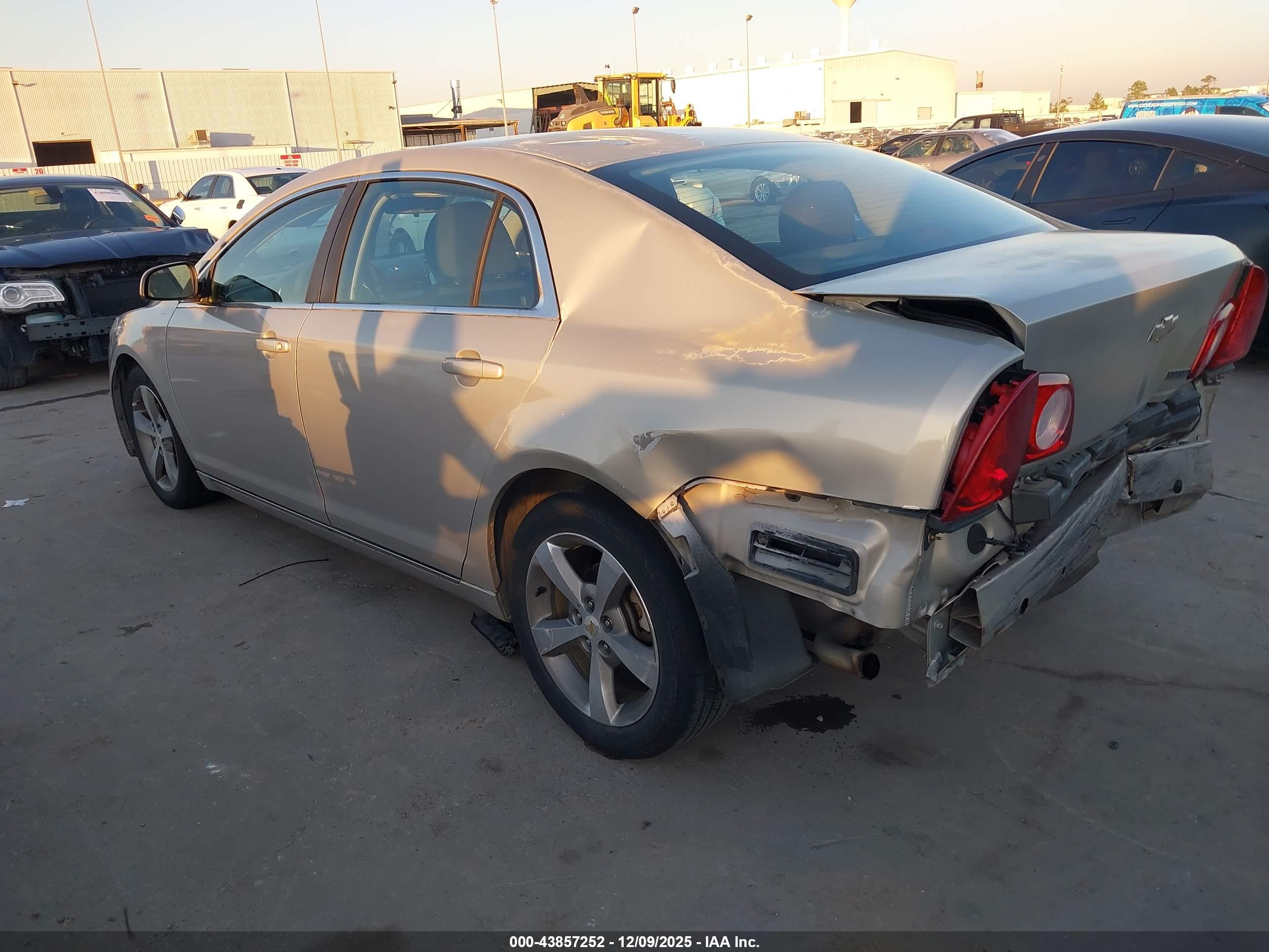 CHEVROLET MALIBU image 3