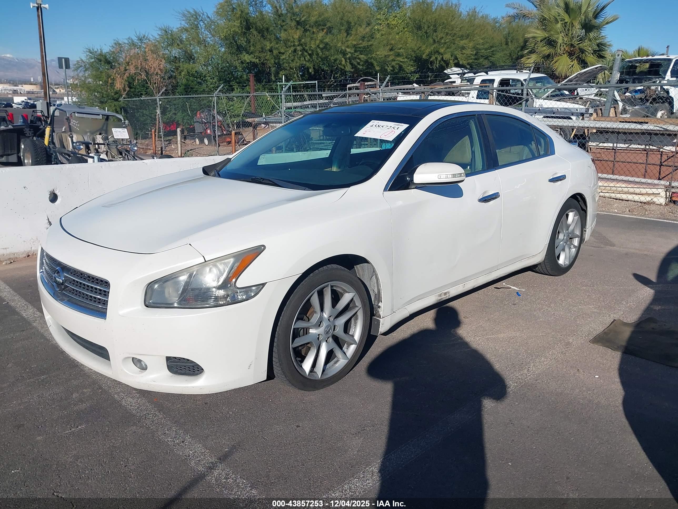 NISSAN MAXIMA image 2