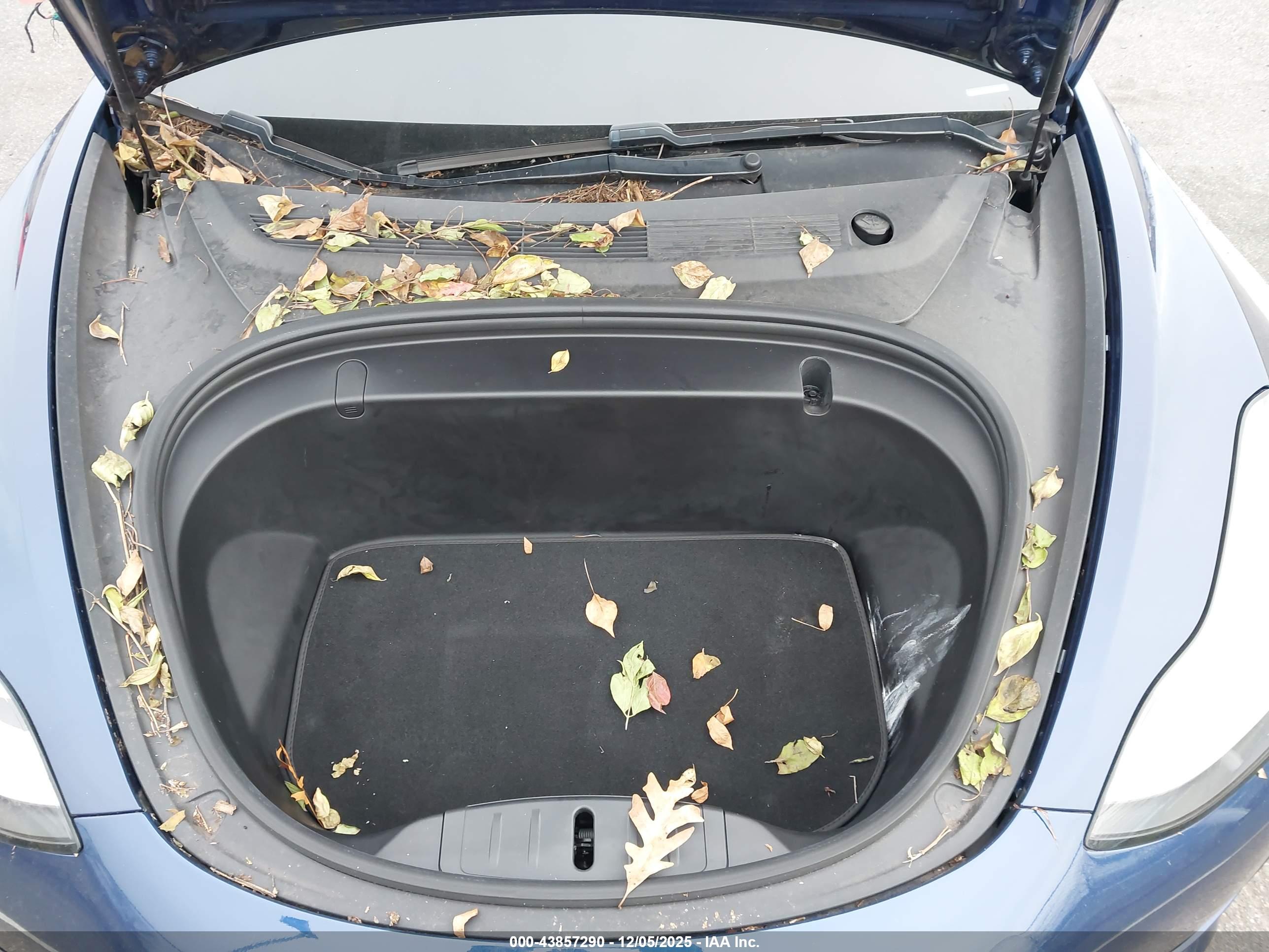 TESLA MODEL image 10