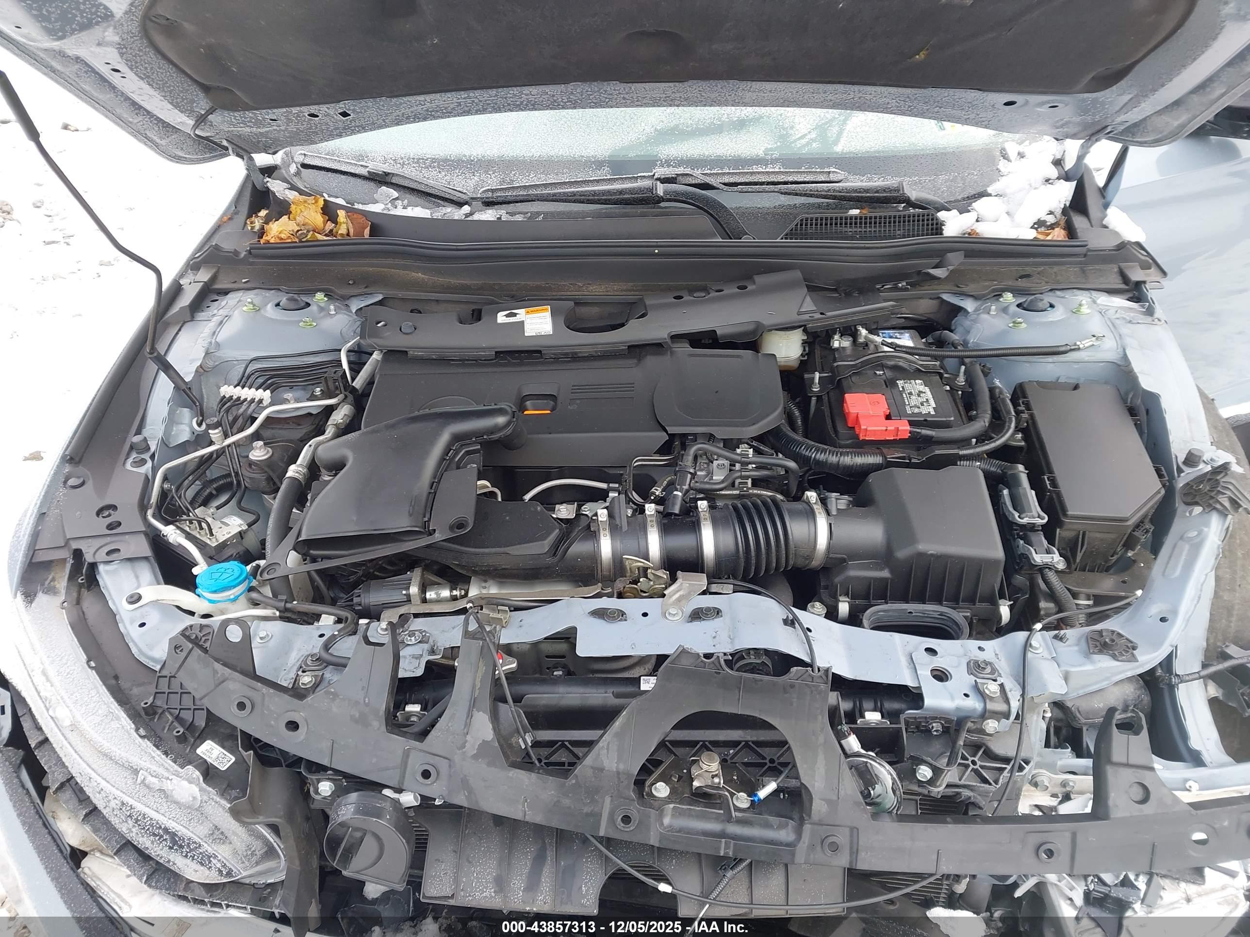 HONDA ACCORD image 10