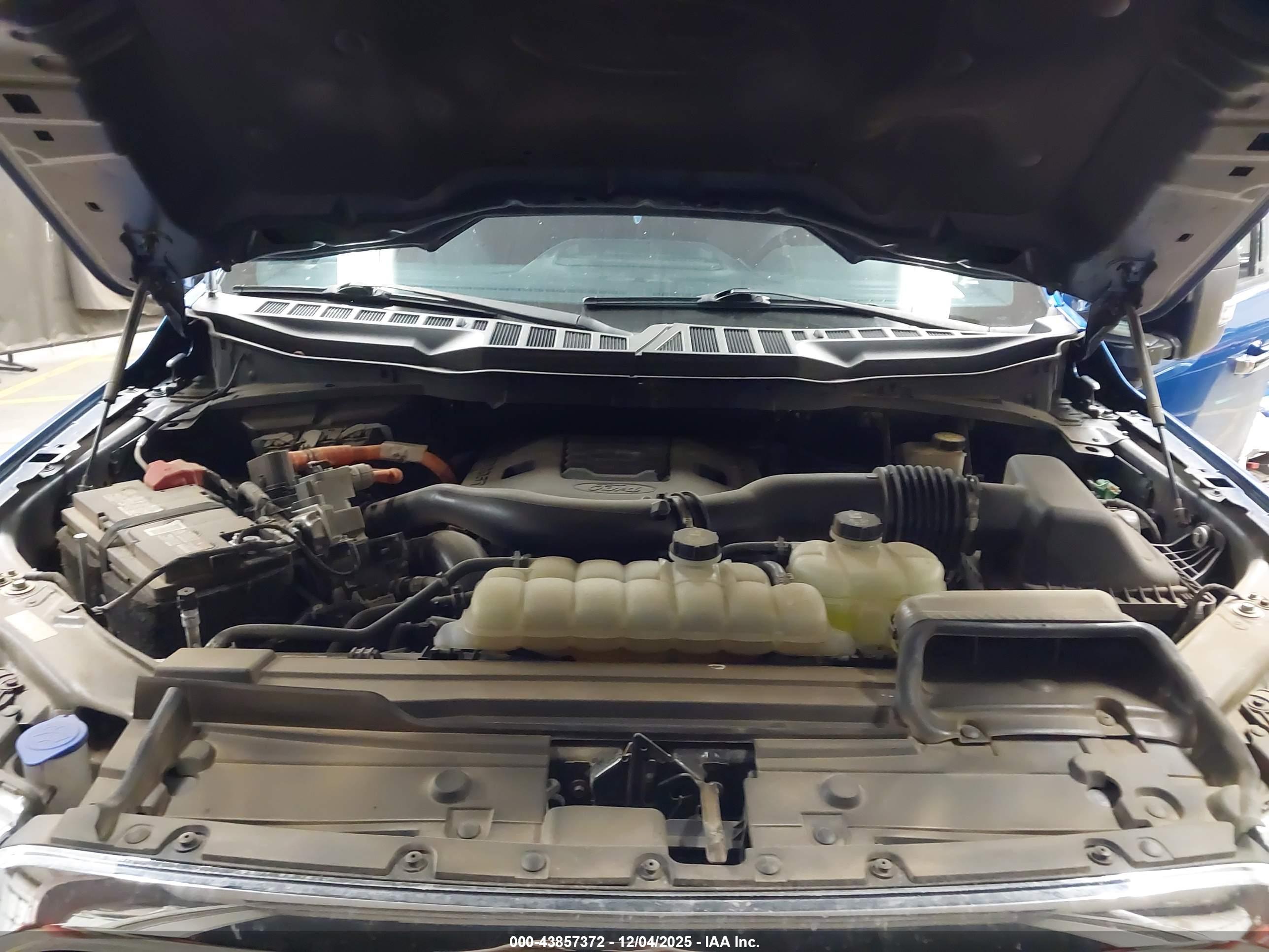 FORD F-150 image 10