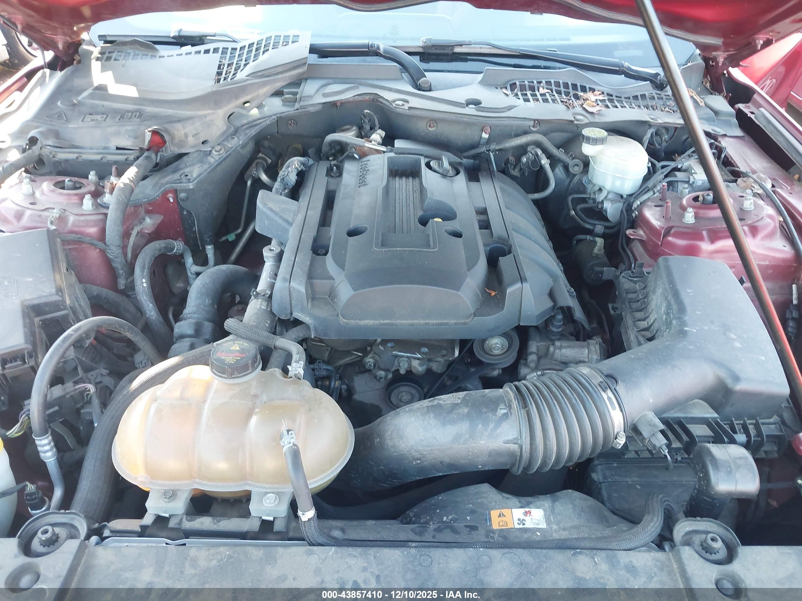 FORD MUSTANG image 10