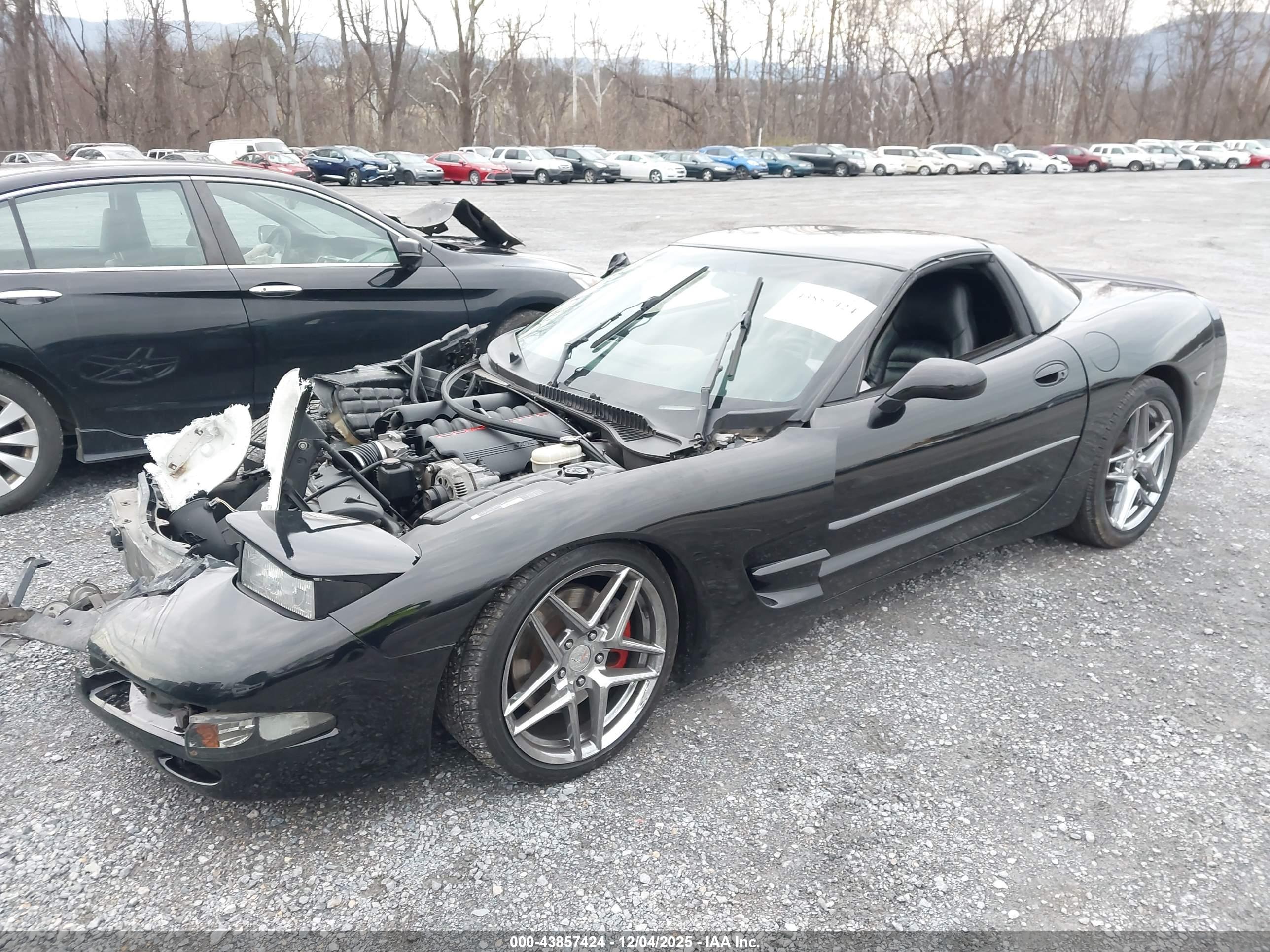 CHEVROLET CORVETTE image 2