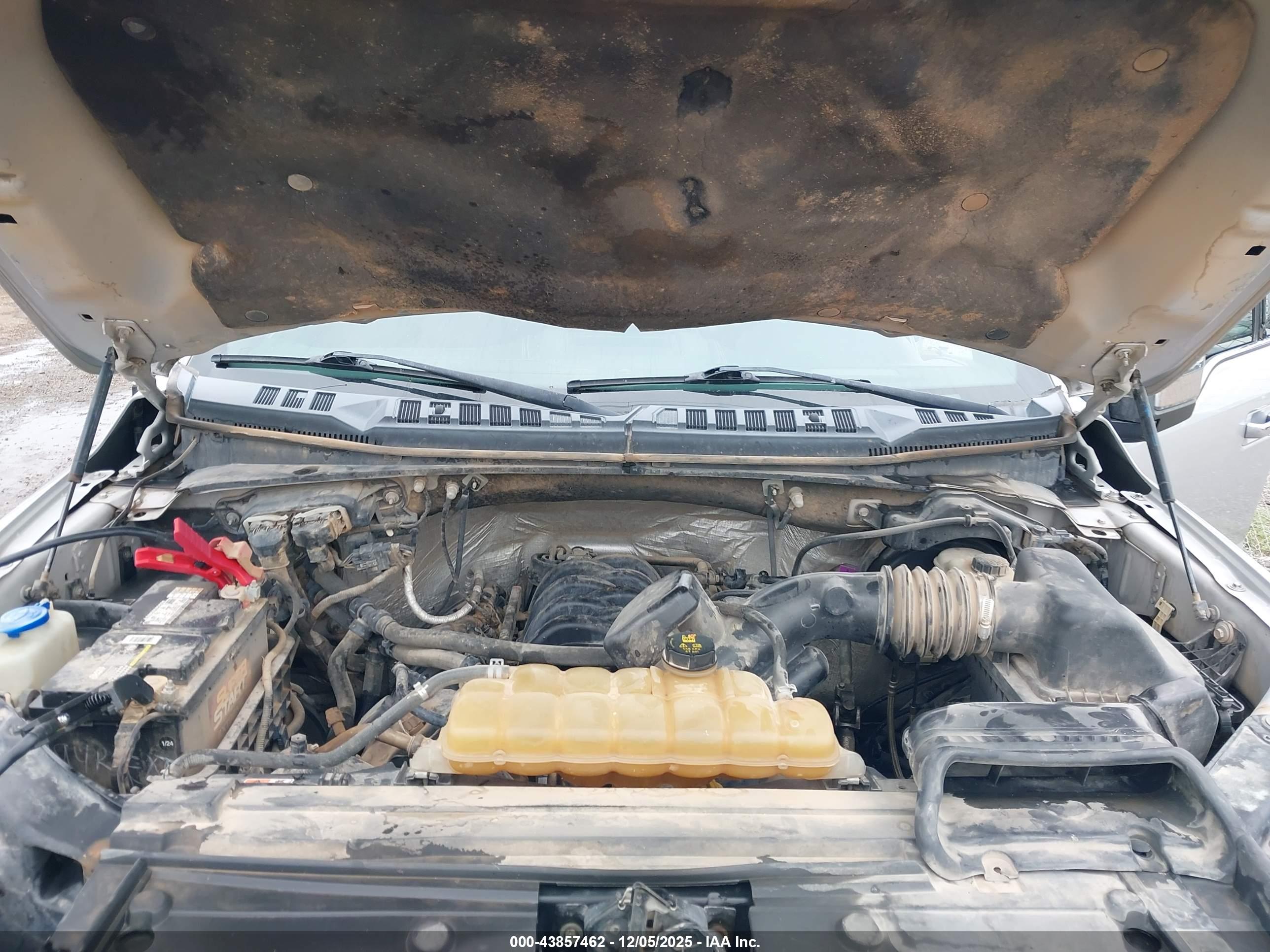 FORD F-150 image 10