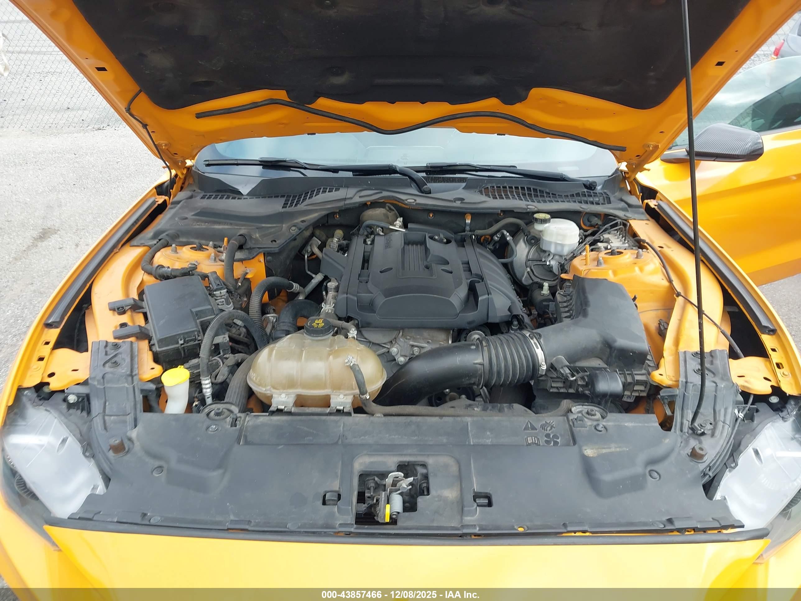 FORD MUSTANG image 10