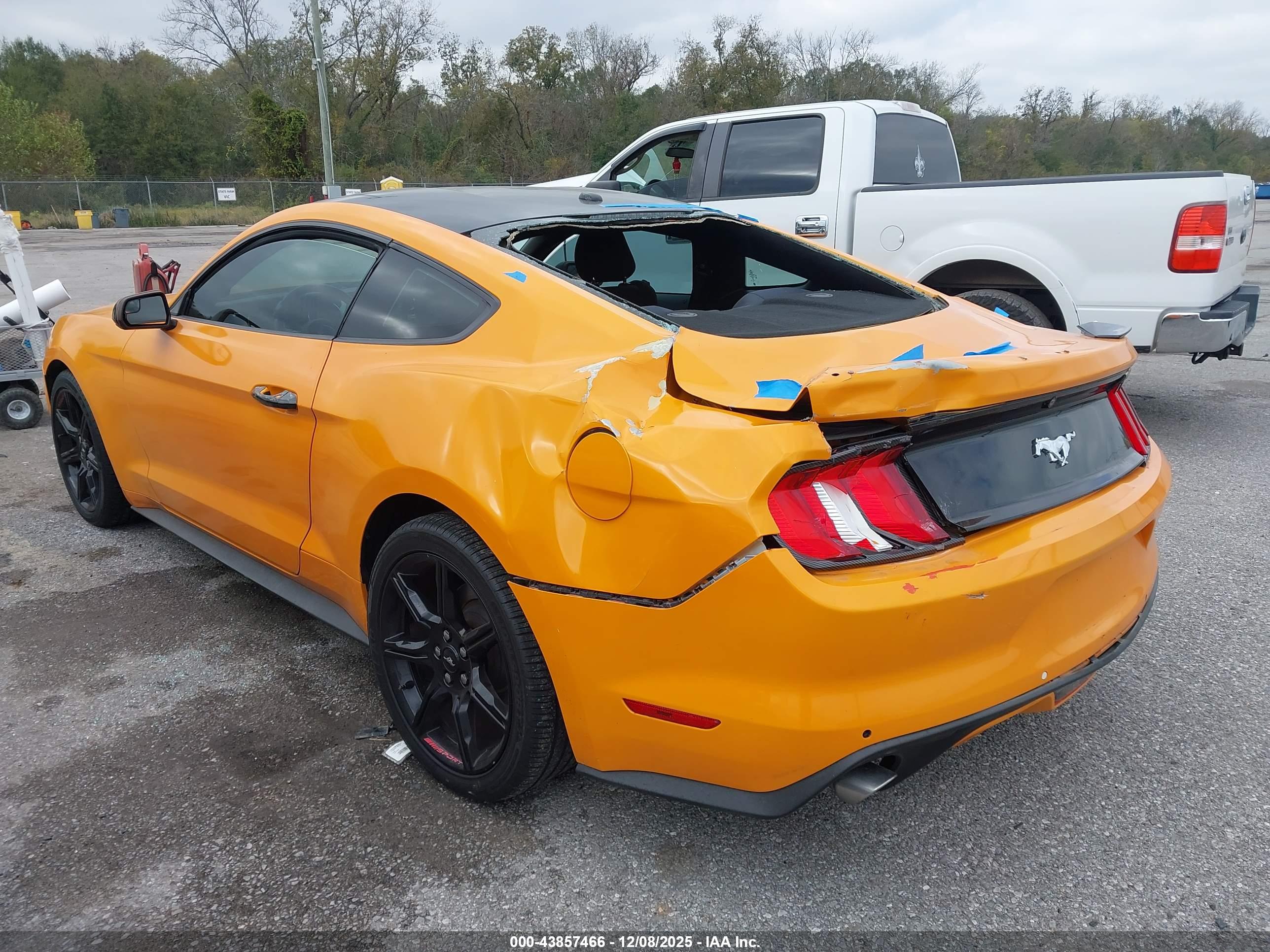 FORD MUSTANG image 3