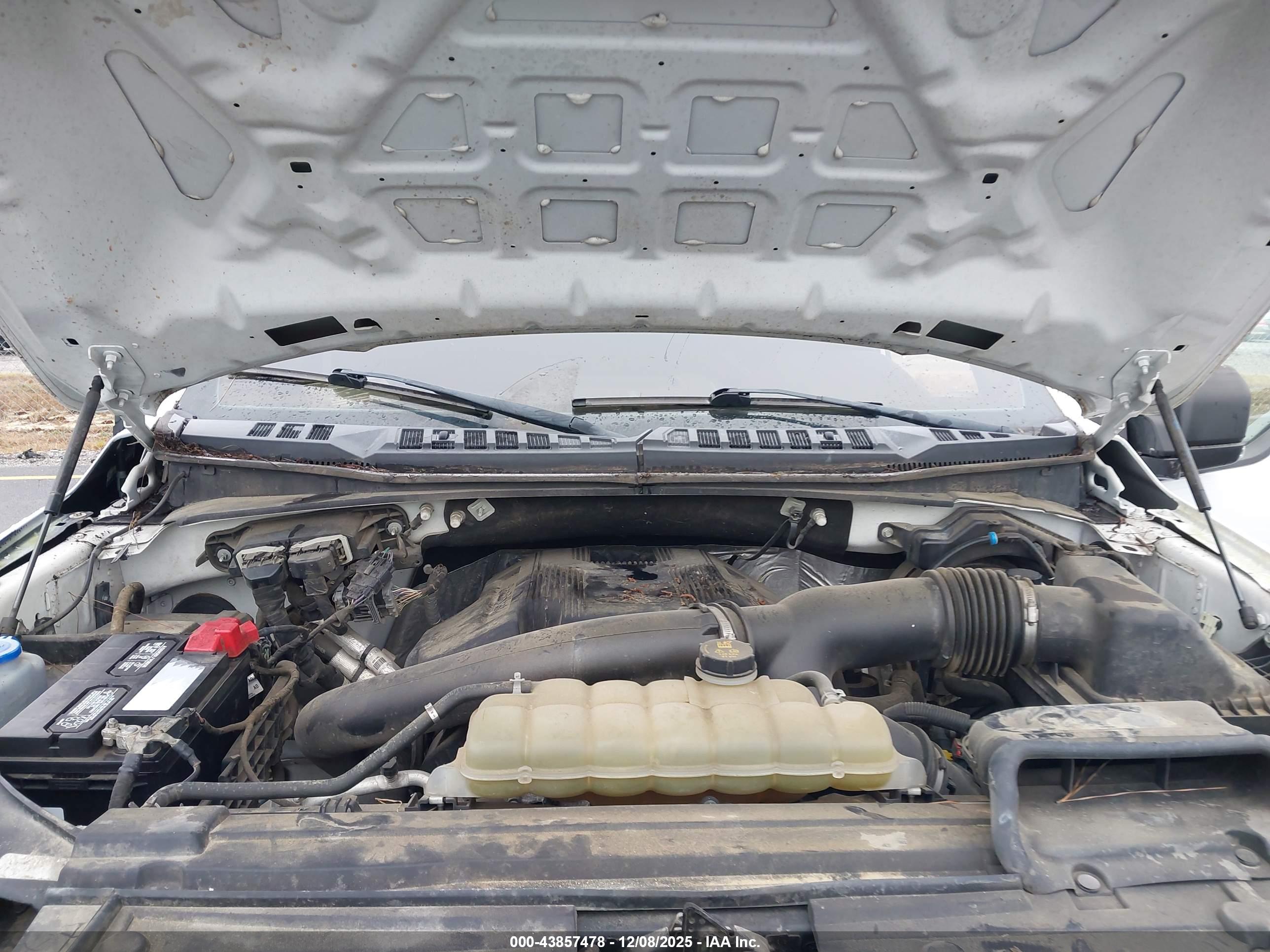 FORD F-150 image 10