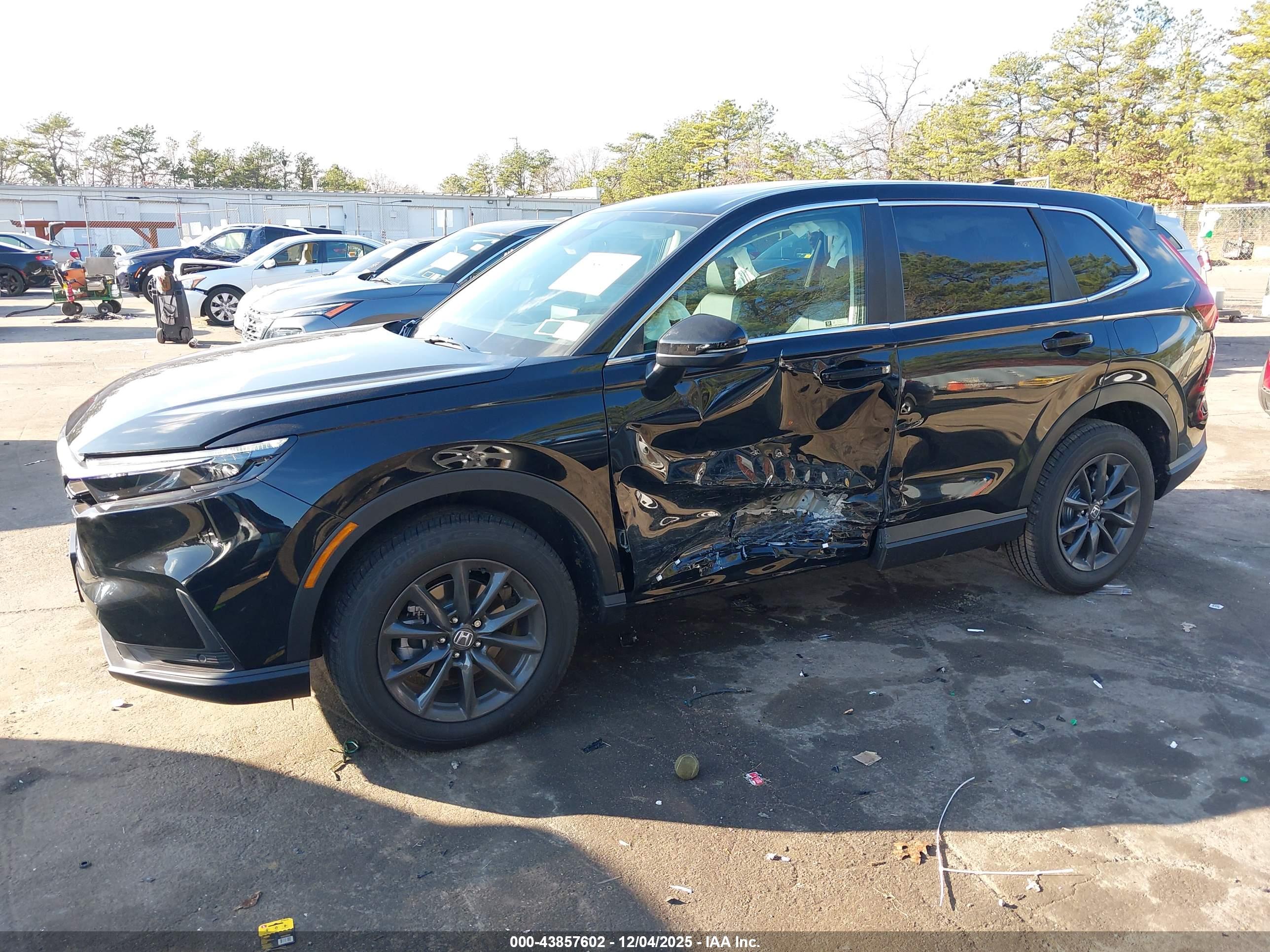 HONDA CR-V image 6