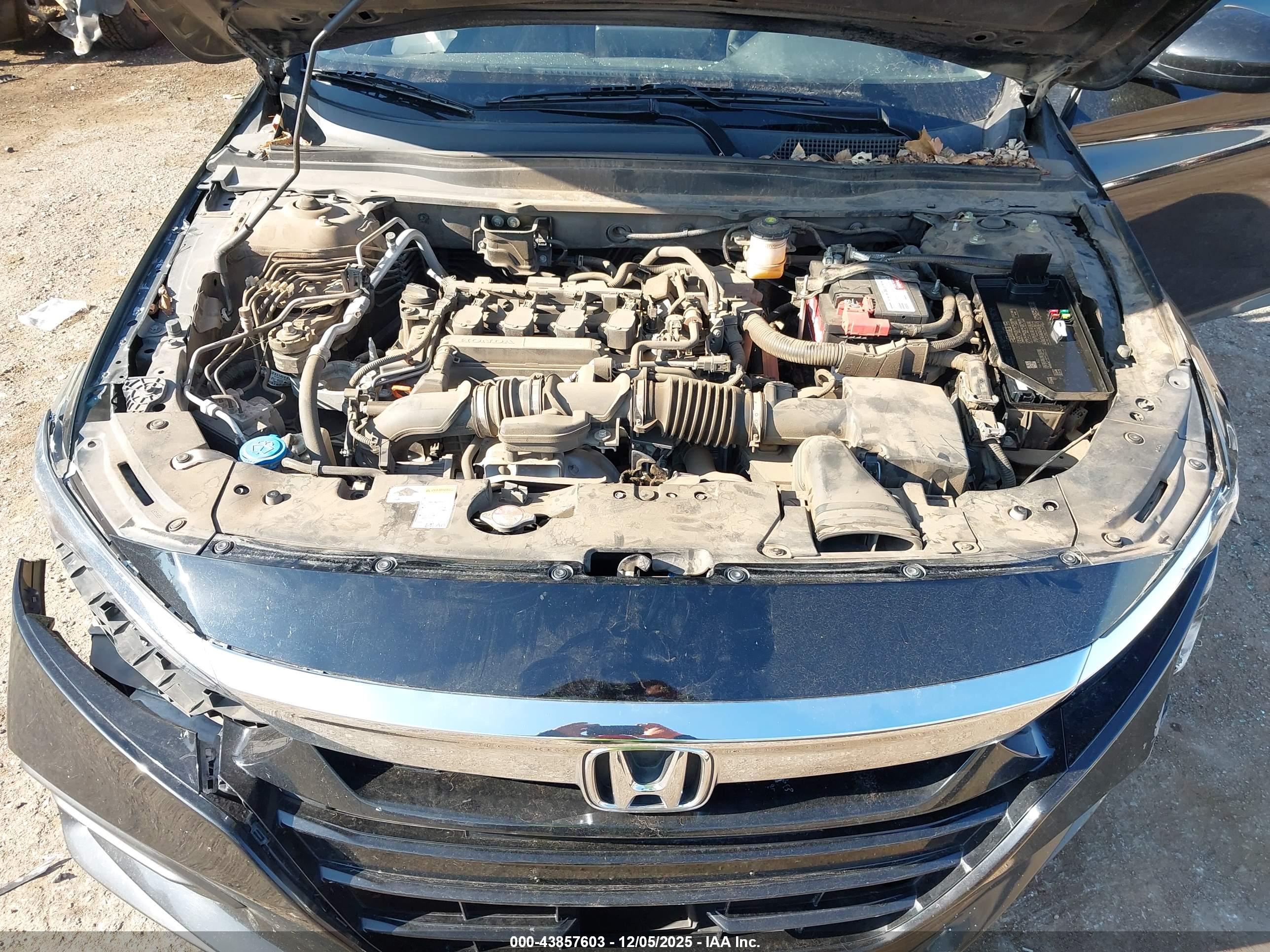 HONDA ACCORD image 10