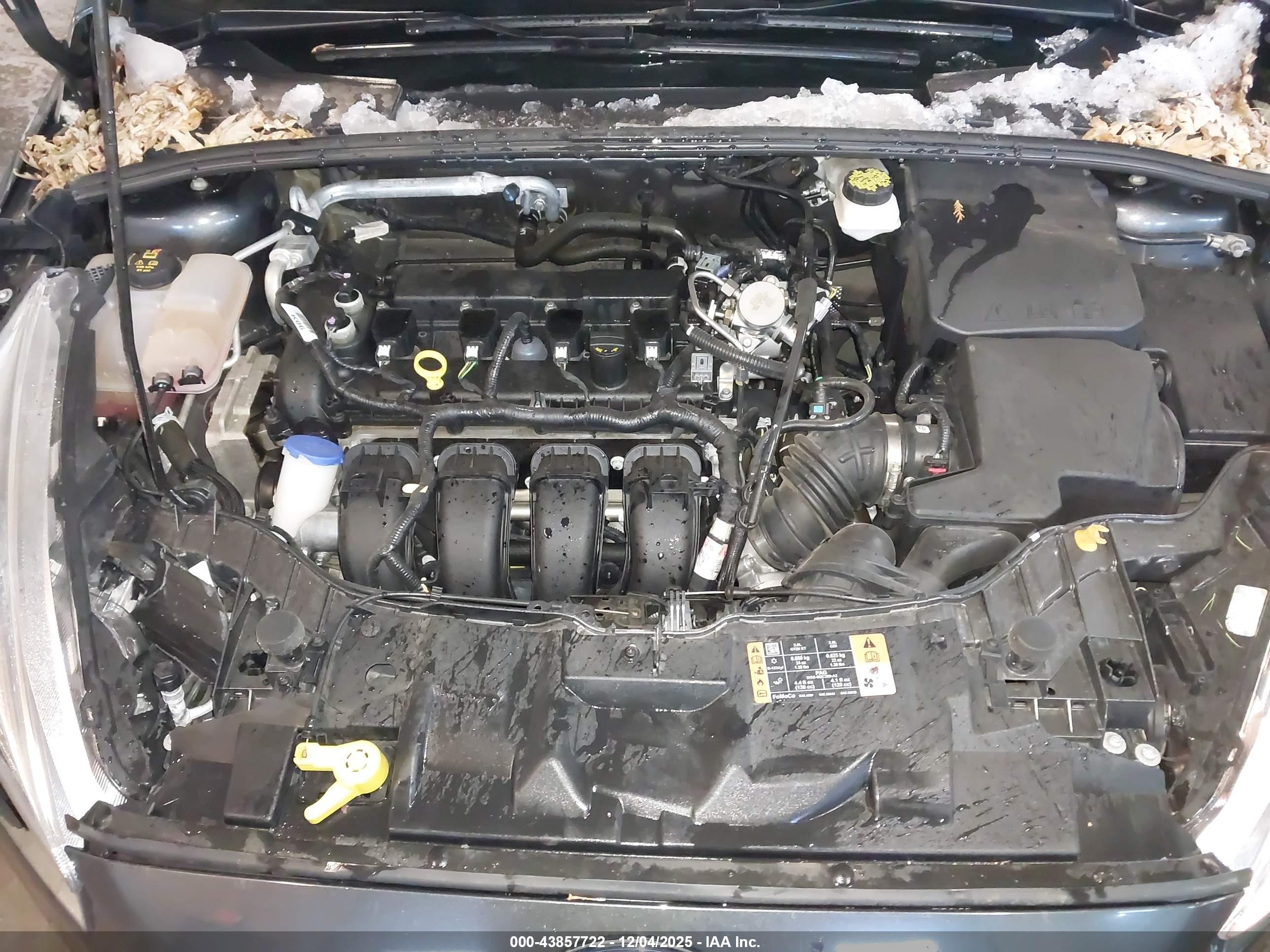 FORD FOCUS image 10