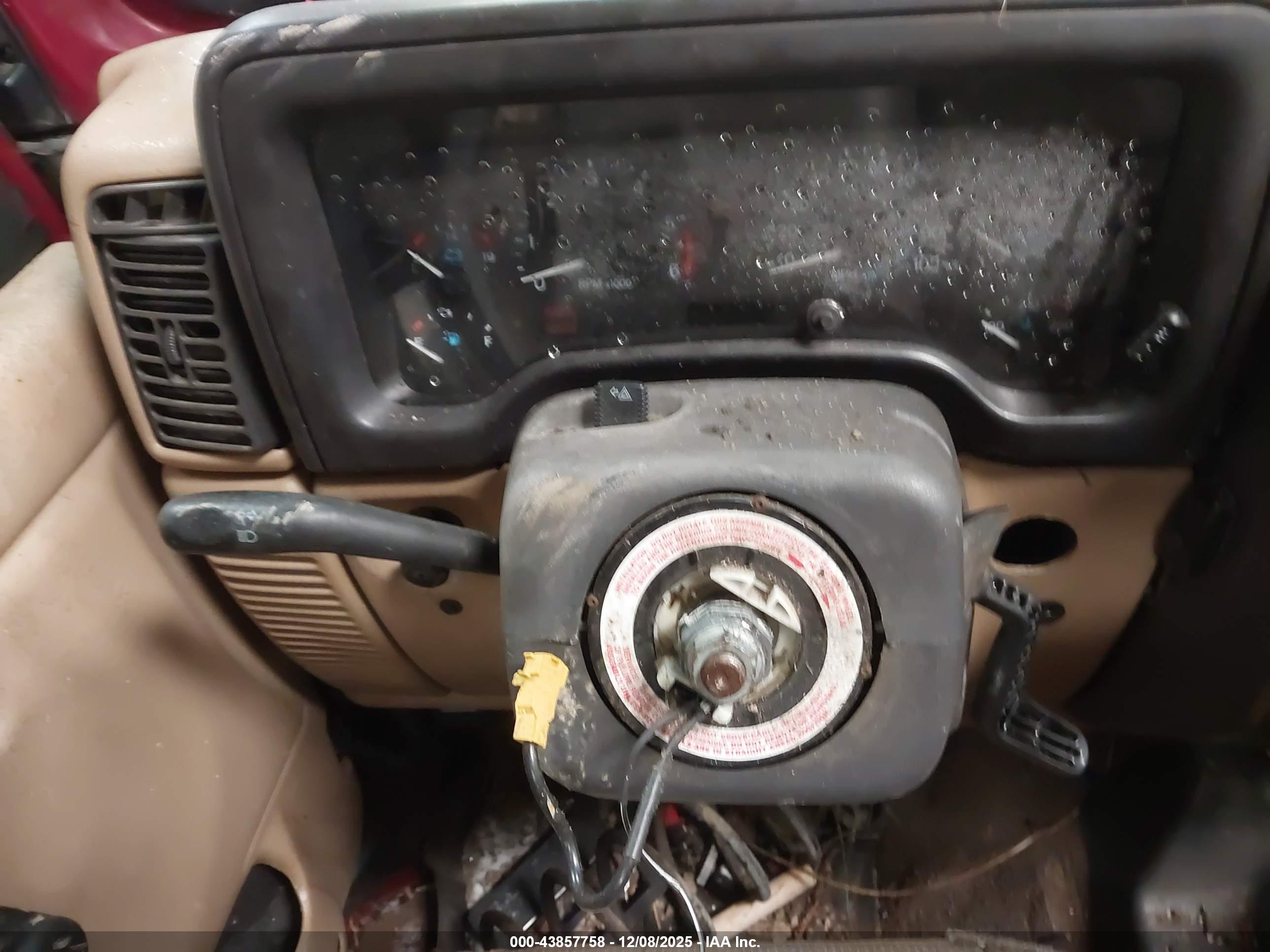 JEEP WRANGLER image 7