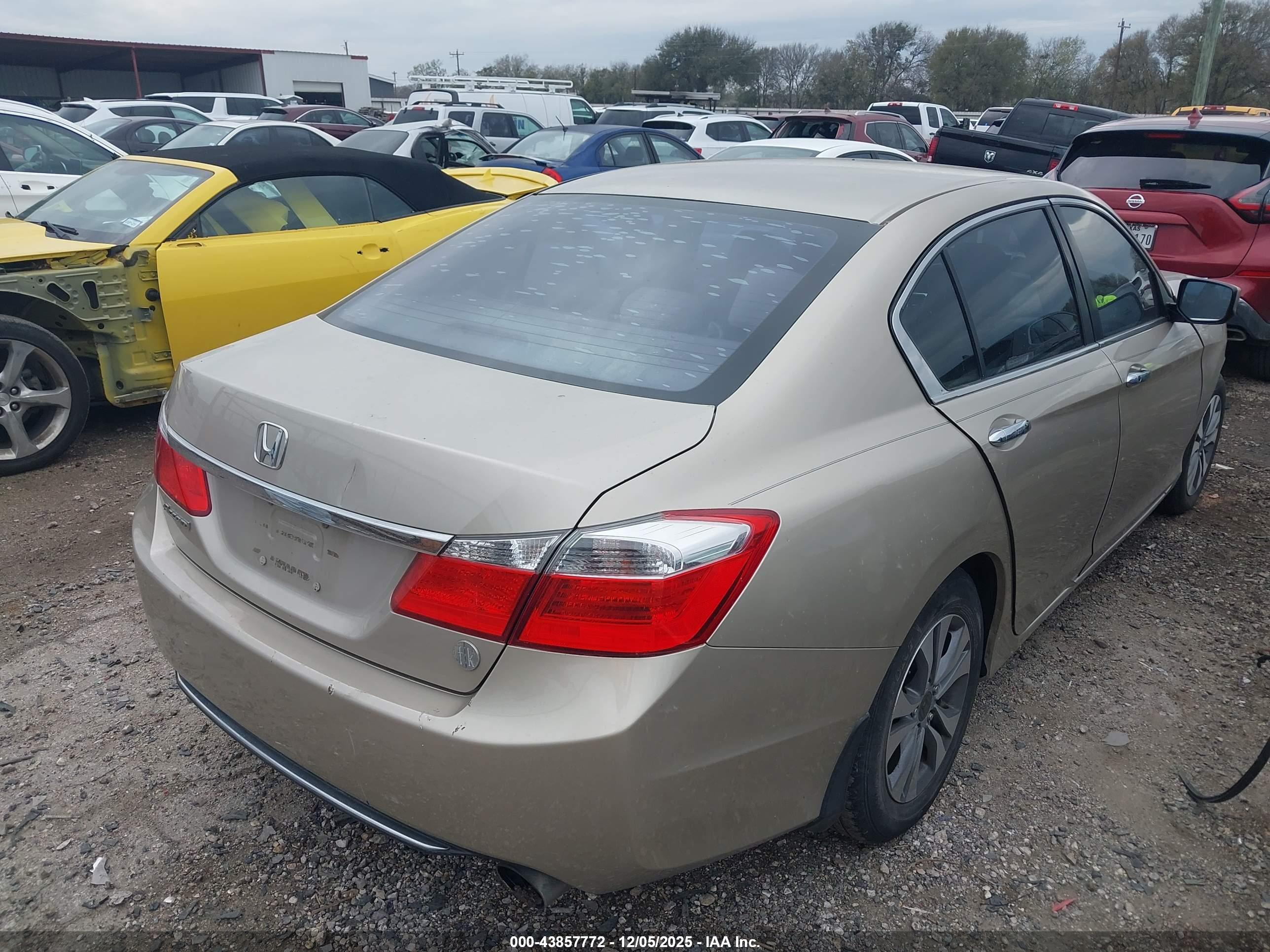 HONDA ACCORD image 4