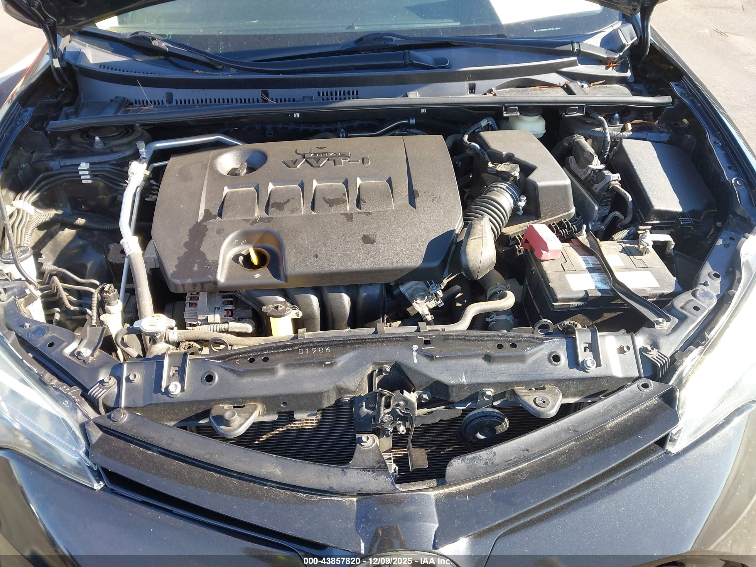 TOYOTA COROLLA image 10