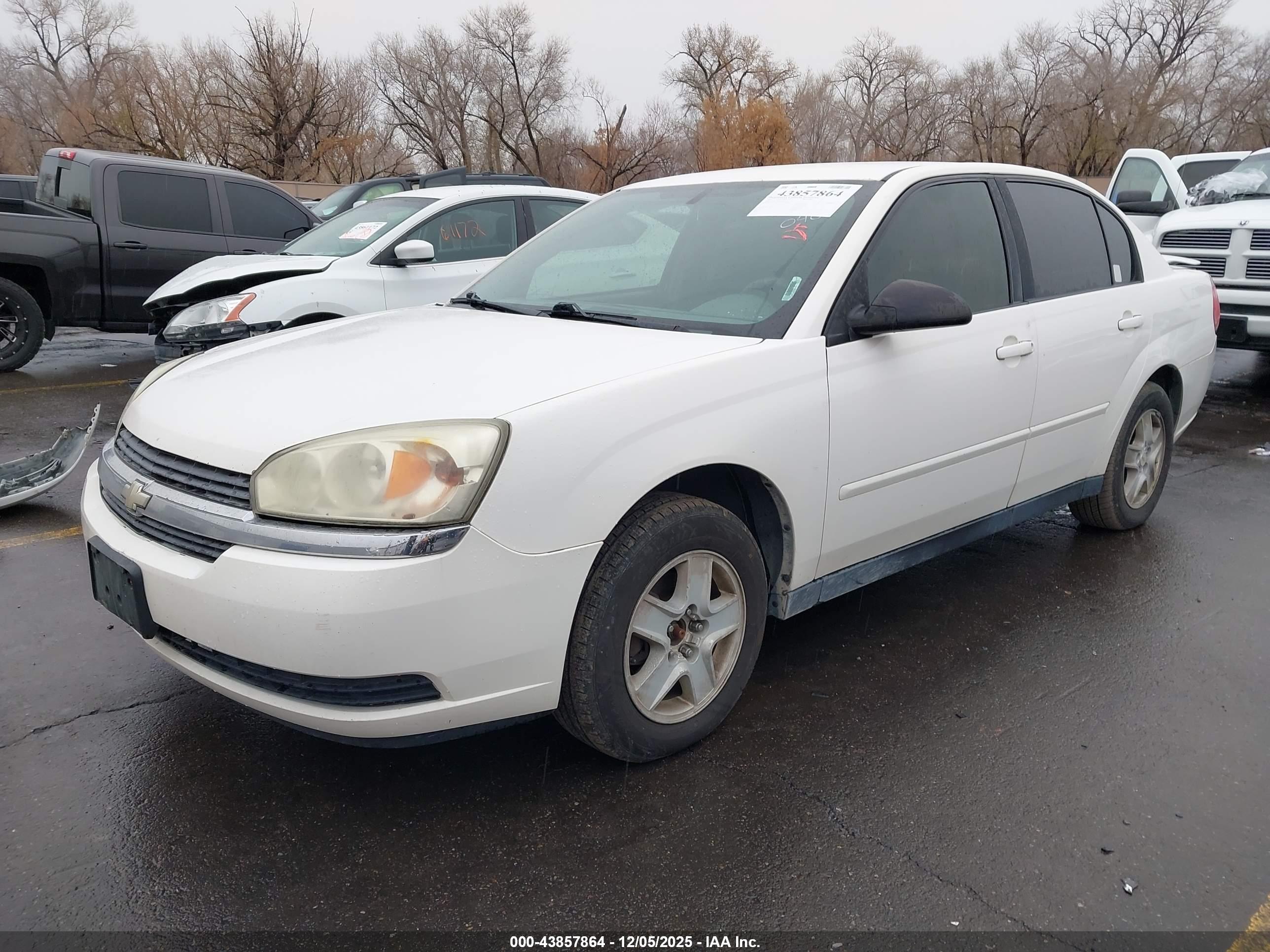 CHEVROLET MALIBU image 2