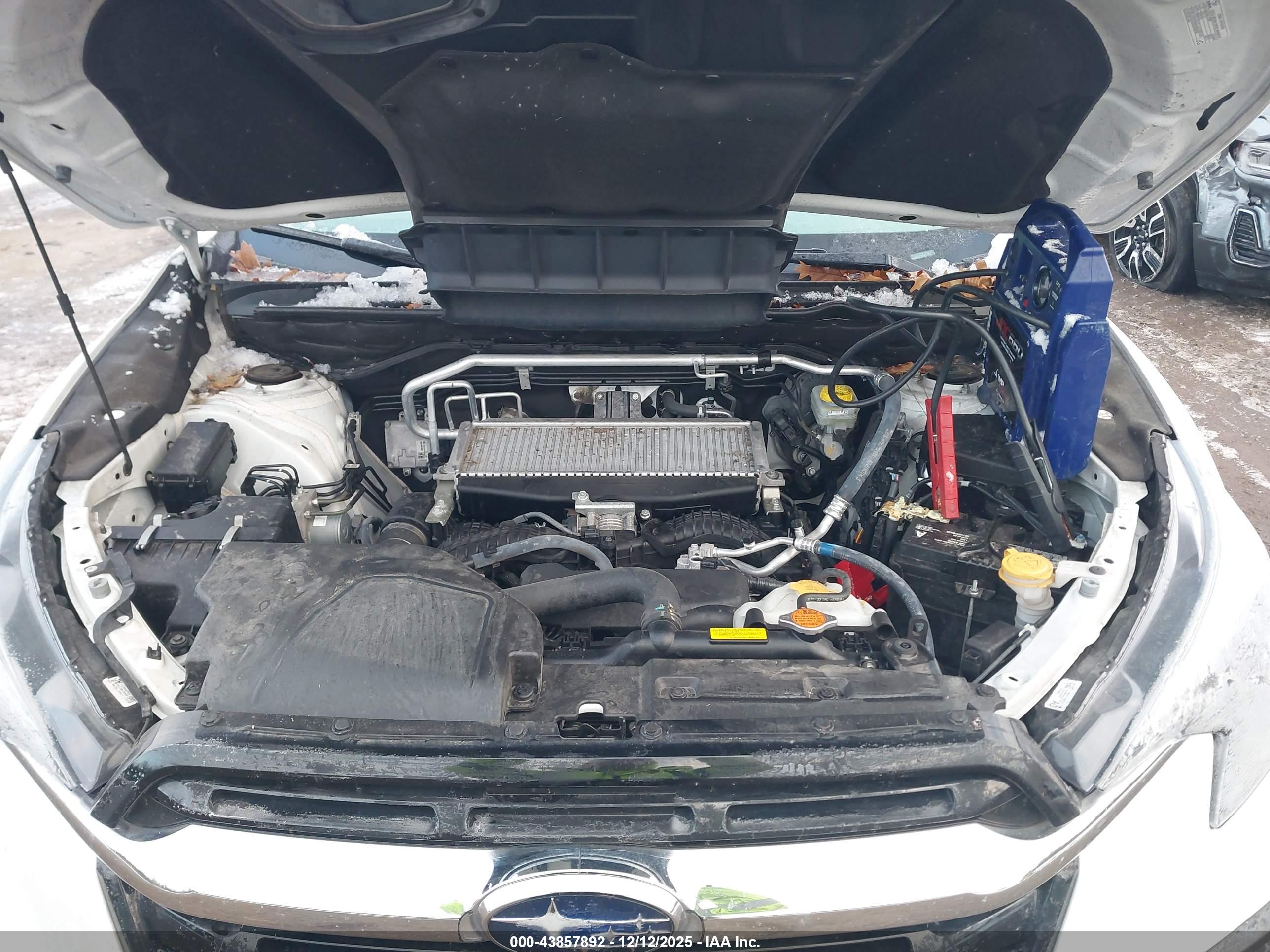 SUBARU ASCENT image 10