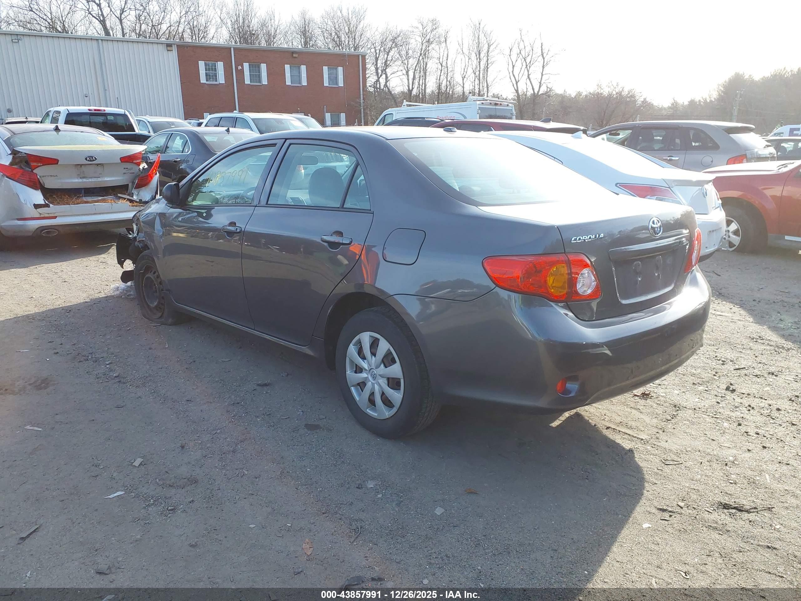 TOYOTA COROLLA image 3