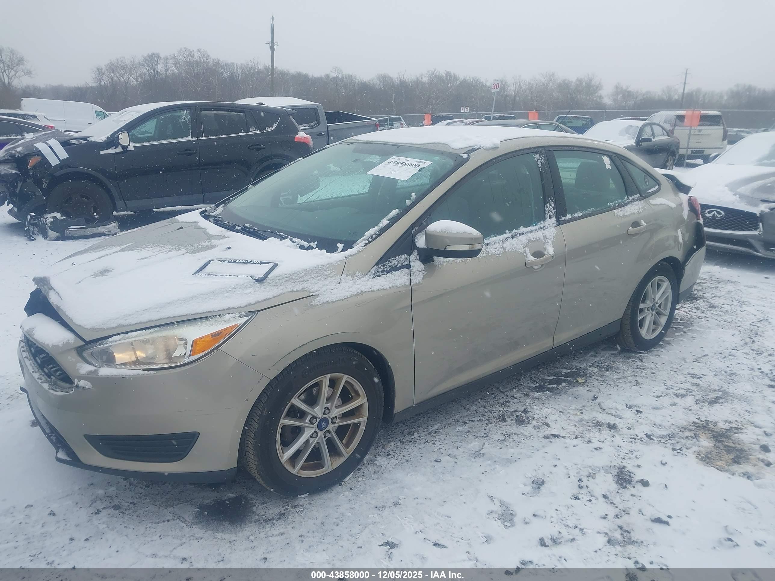FORD FOCUS image 2