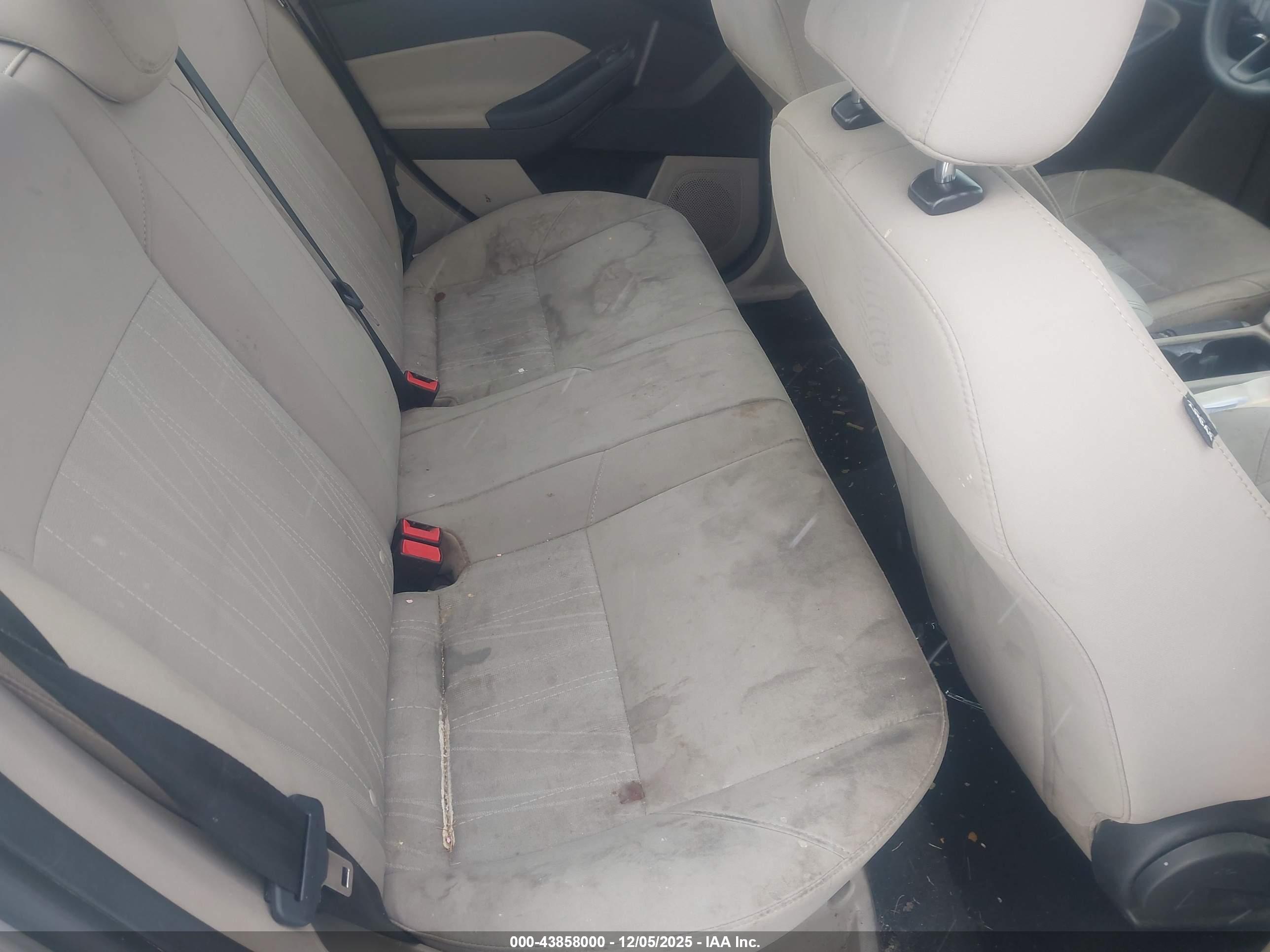 FORD FOCUS image 8