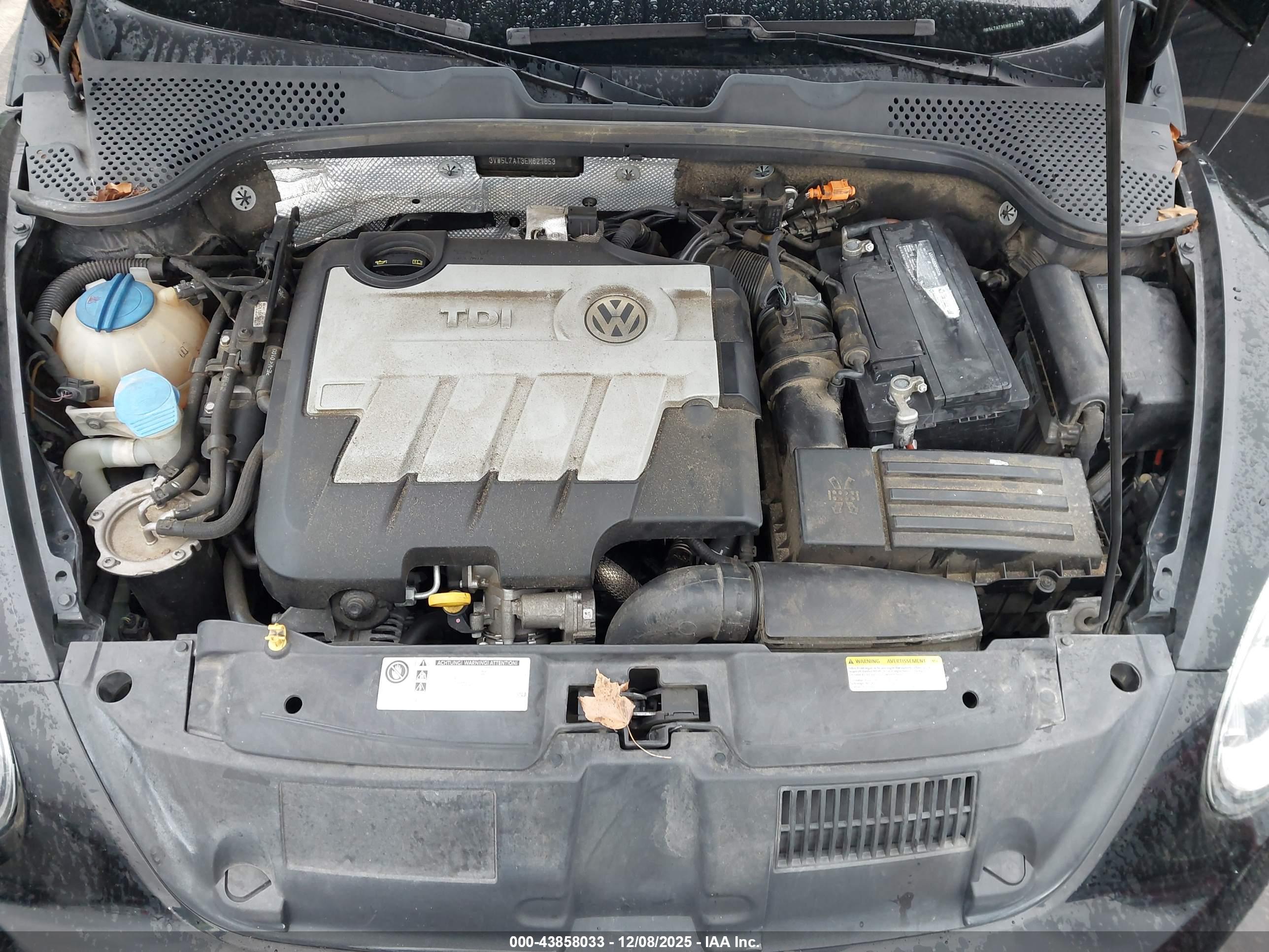 VOLKSWAGEN BEETLE image 10