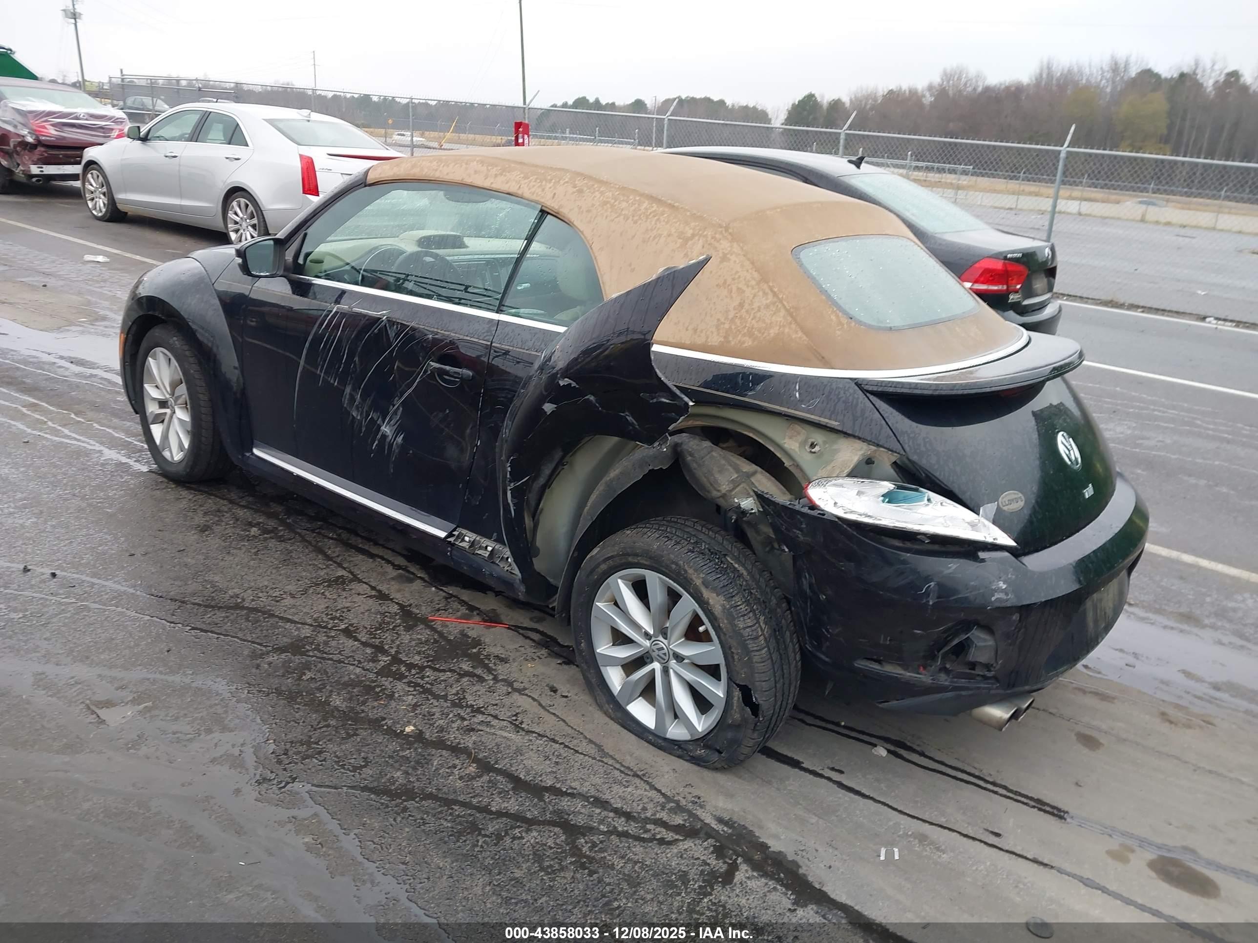 VOLKSWAGEN BEETLE image 3