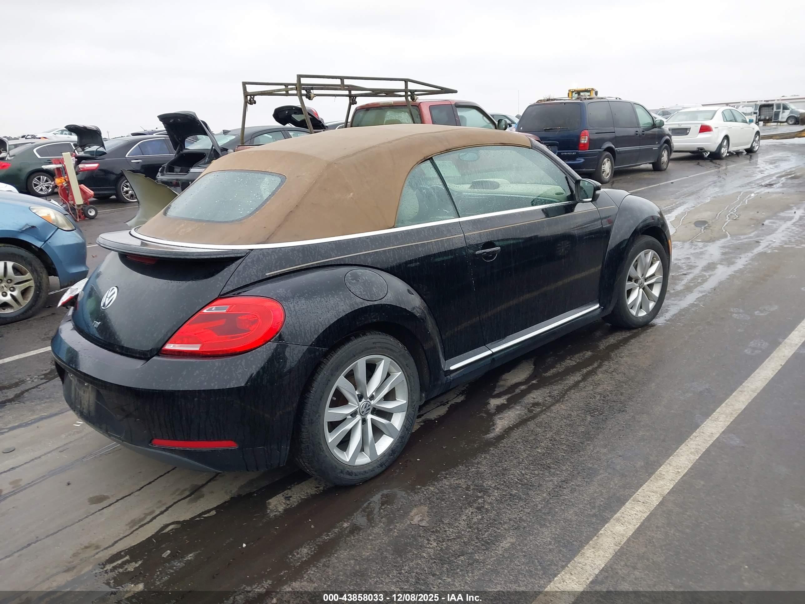 VOLKSWAGEN BEETLE image 4