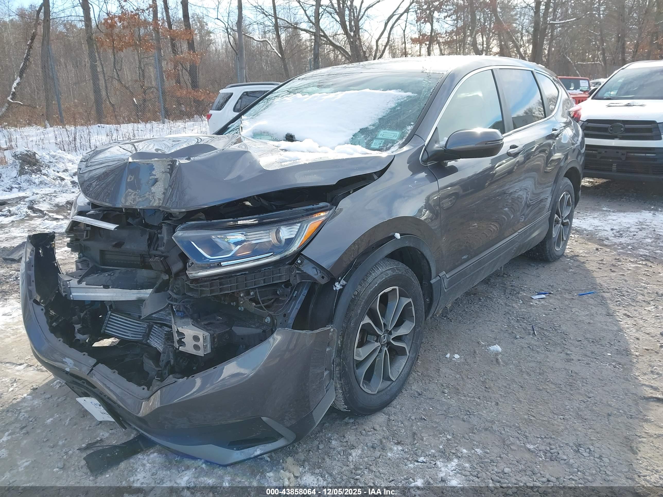 HONDA CR-V image 6