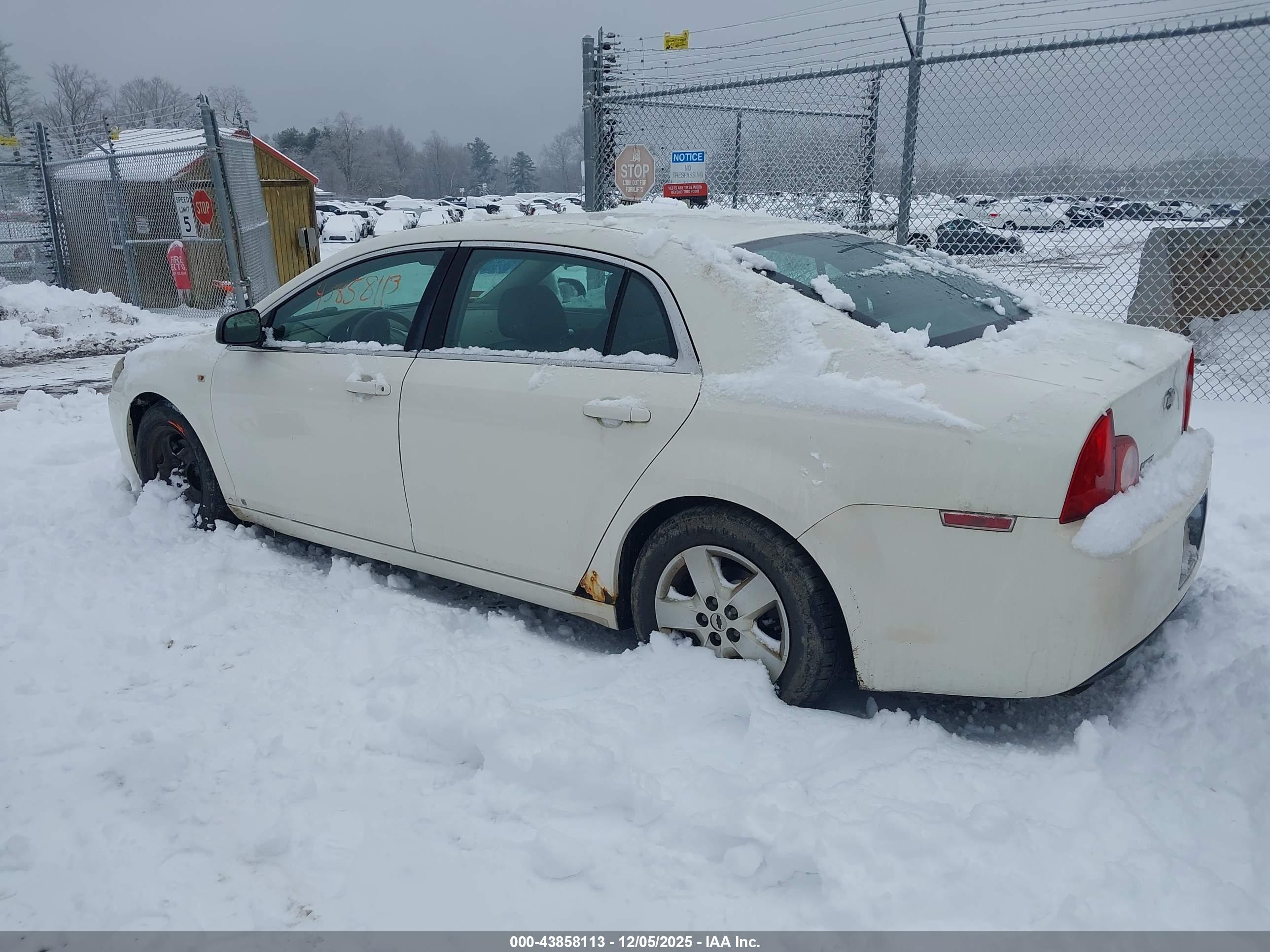 CHEVROLET MALIBU image 3