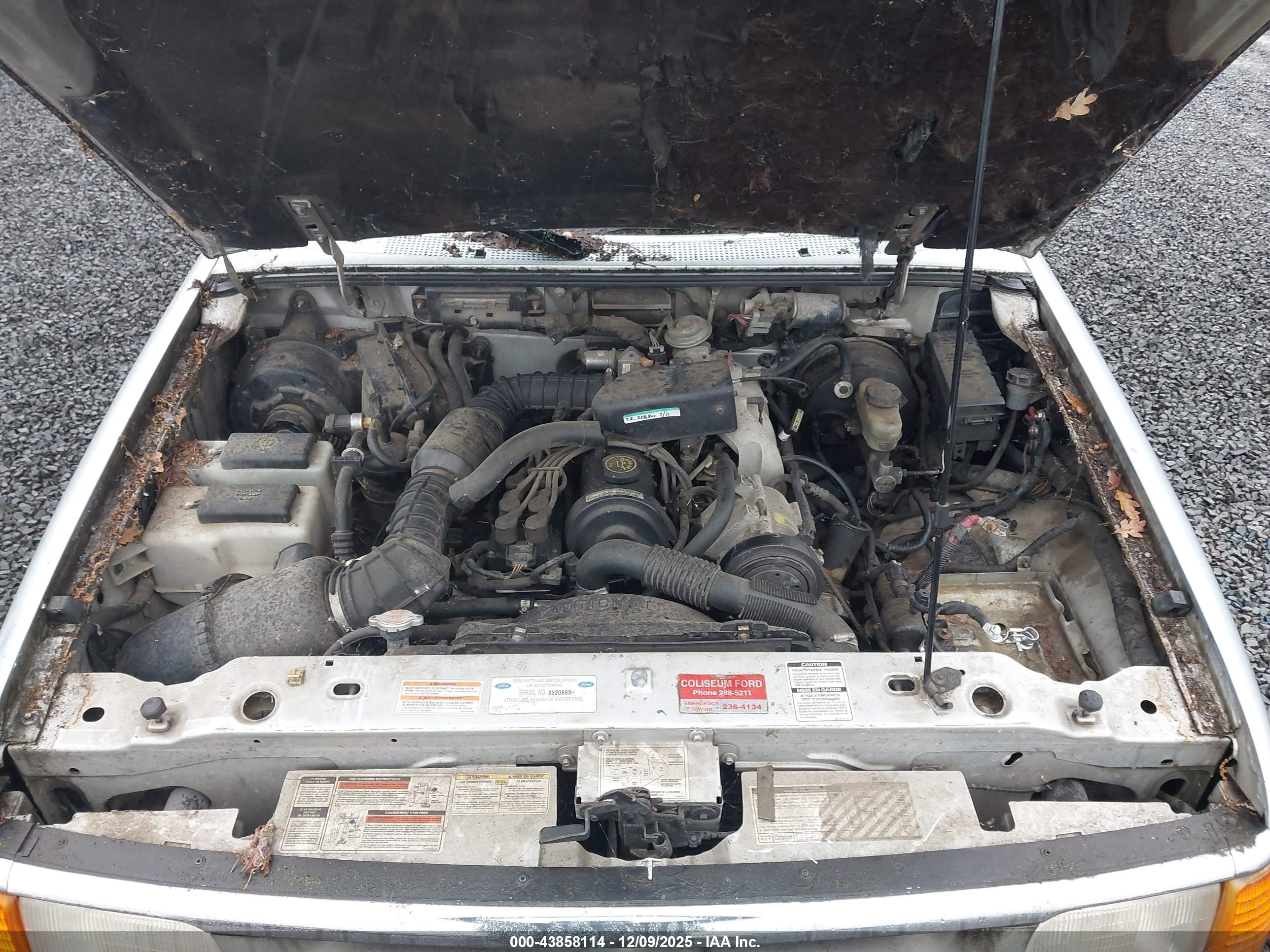 FORD RANGER image 10