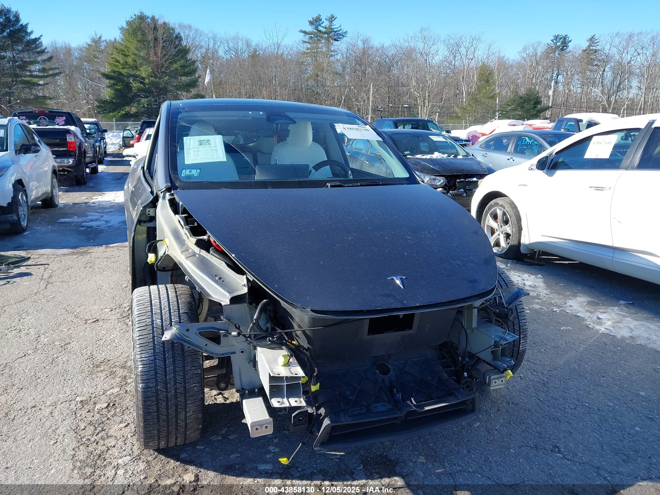 TESLA MODEL image 6