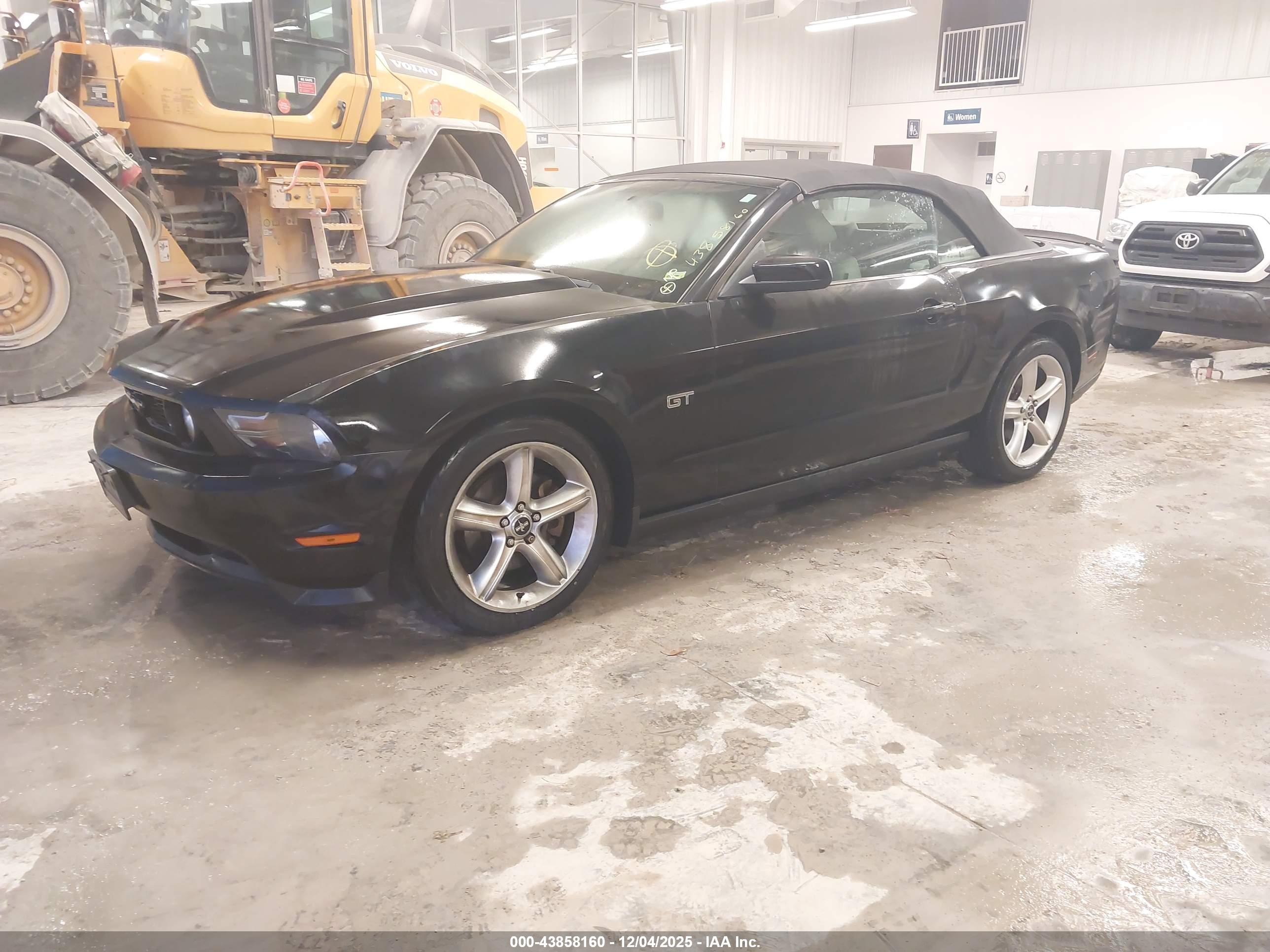 FORD MUSTANG image 2