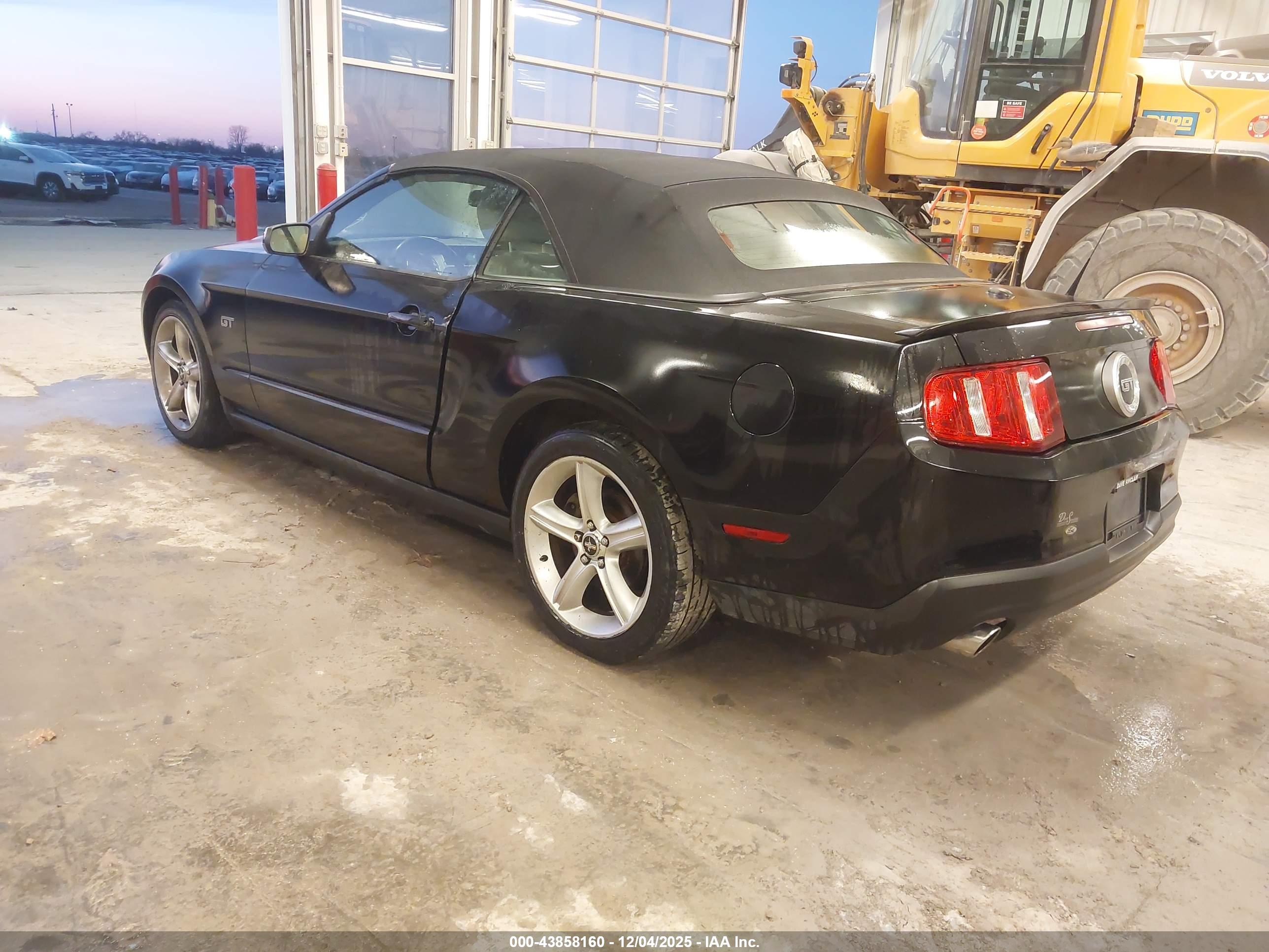 FORD MUSTANG image 3