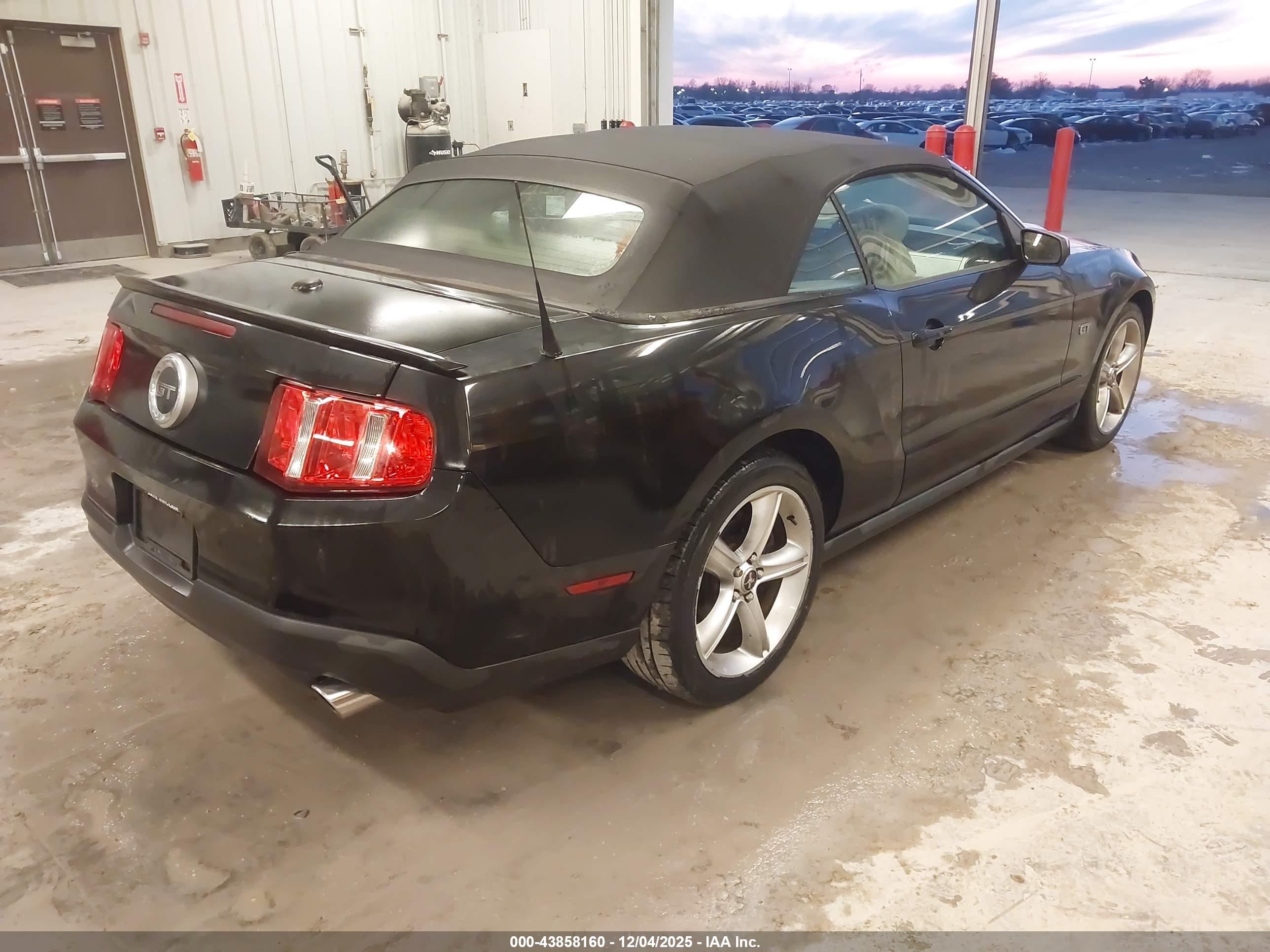 FORD MUSTANG image 4