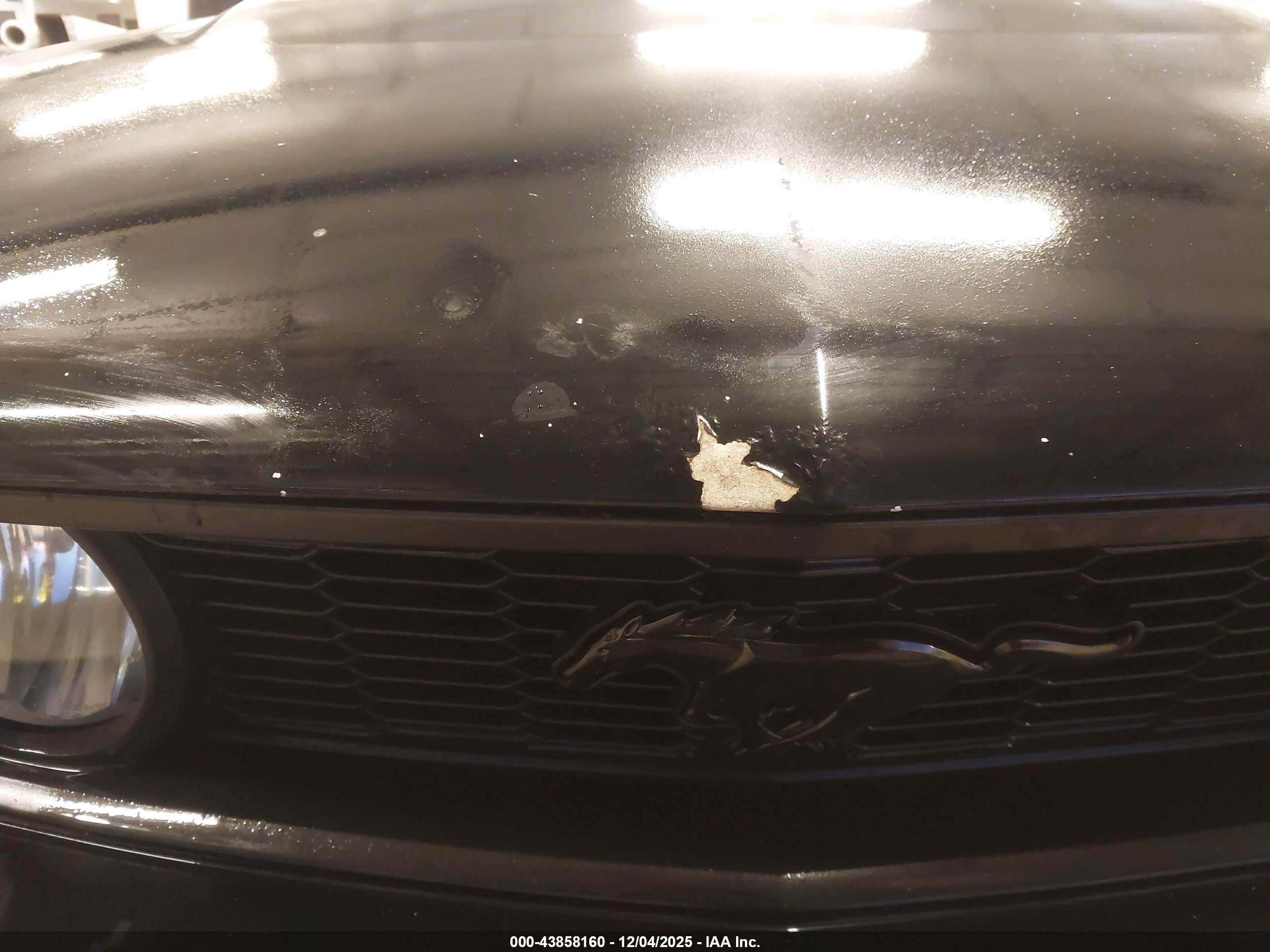 FORD MUSTANG image 6